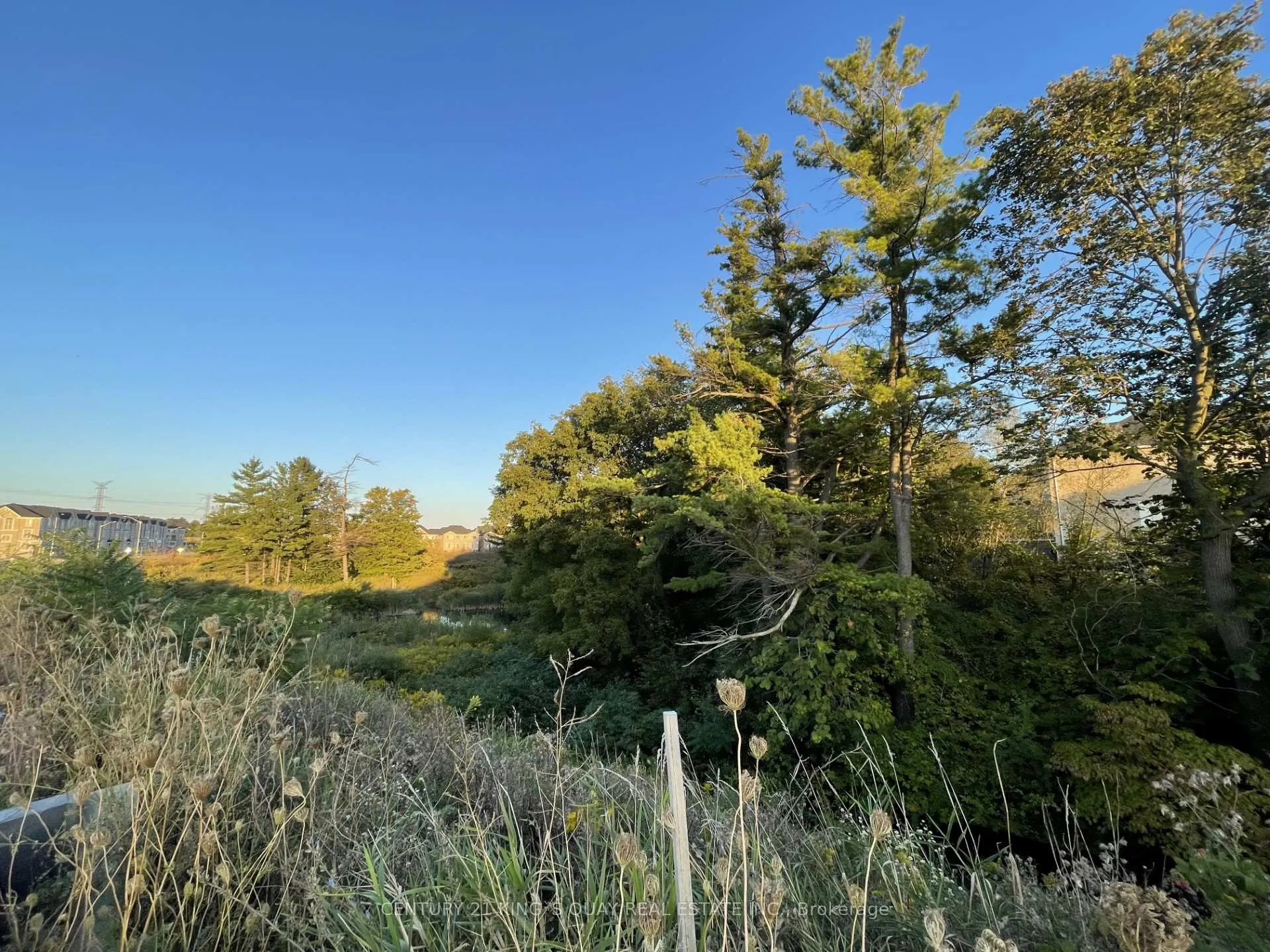 Photo 35 of 27 Thomas Hope Lane, Markham, Cedarwood — HOMEH