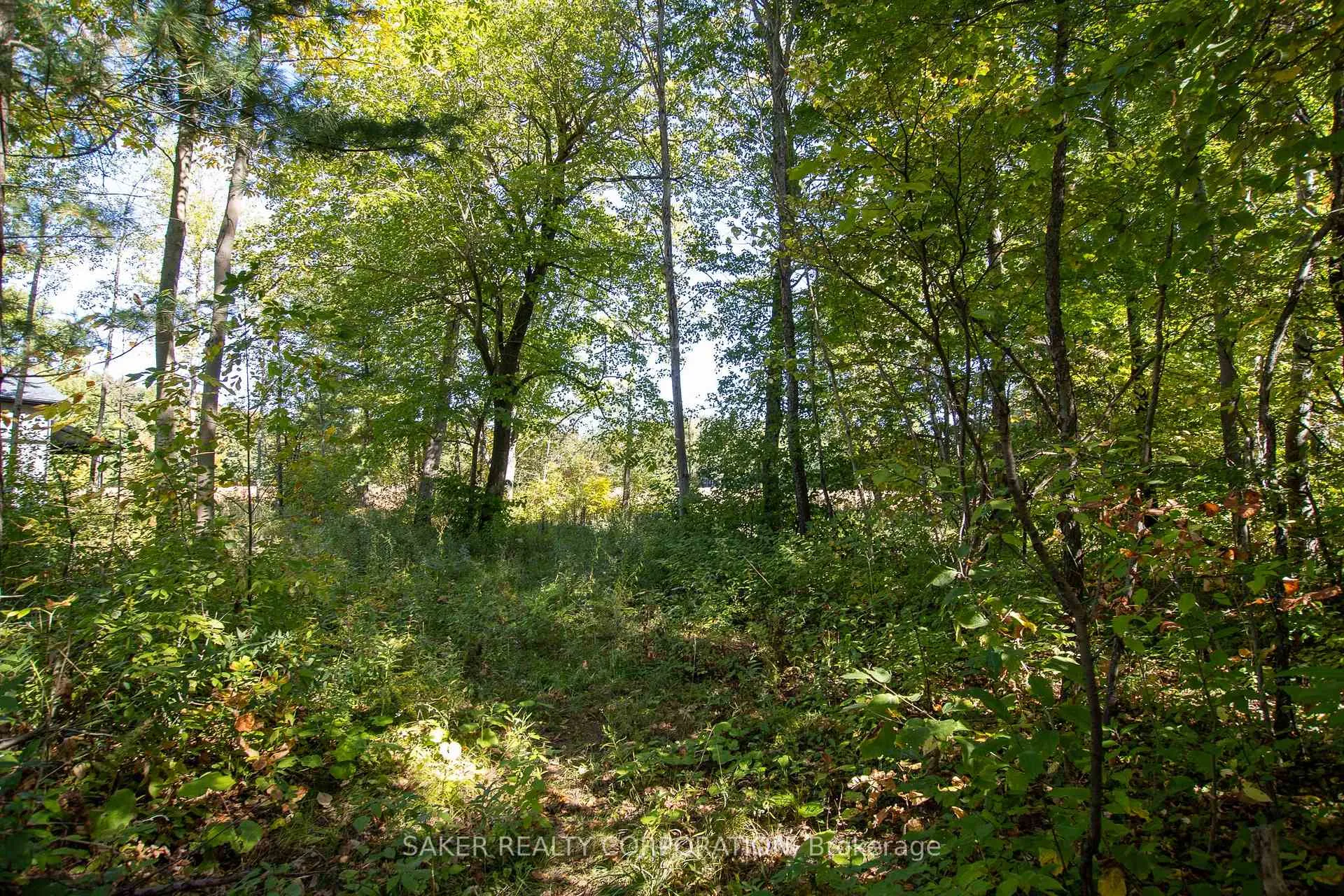 Photo 9 of 22480 Troops Road, Strathroy-Caradoc, Rural Strathroy-Caradoc — HOMEH