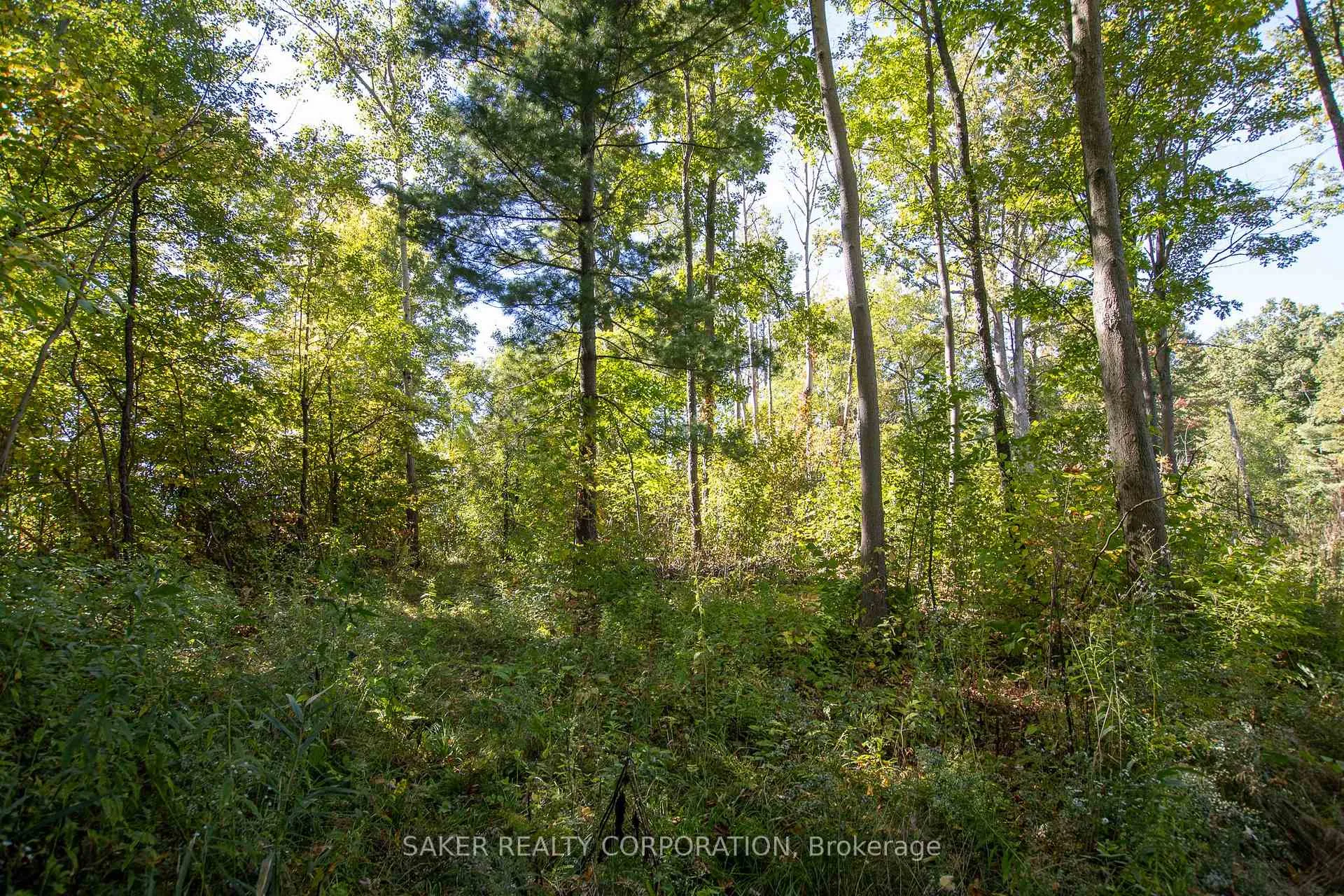 Photo 11 of 22480 Troops Road, Strathroy-Caradoc, Rural Strathroy-Caradoc — HOMEH