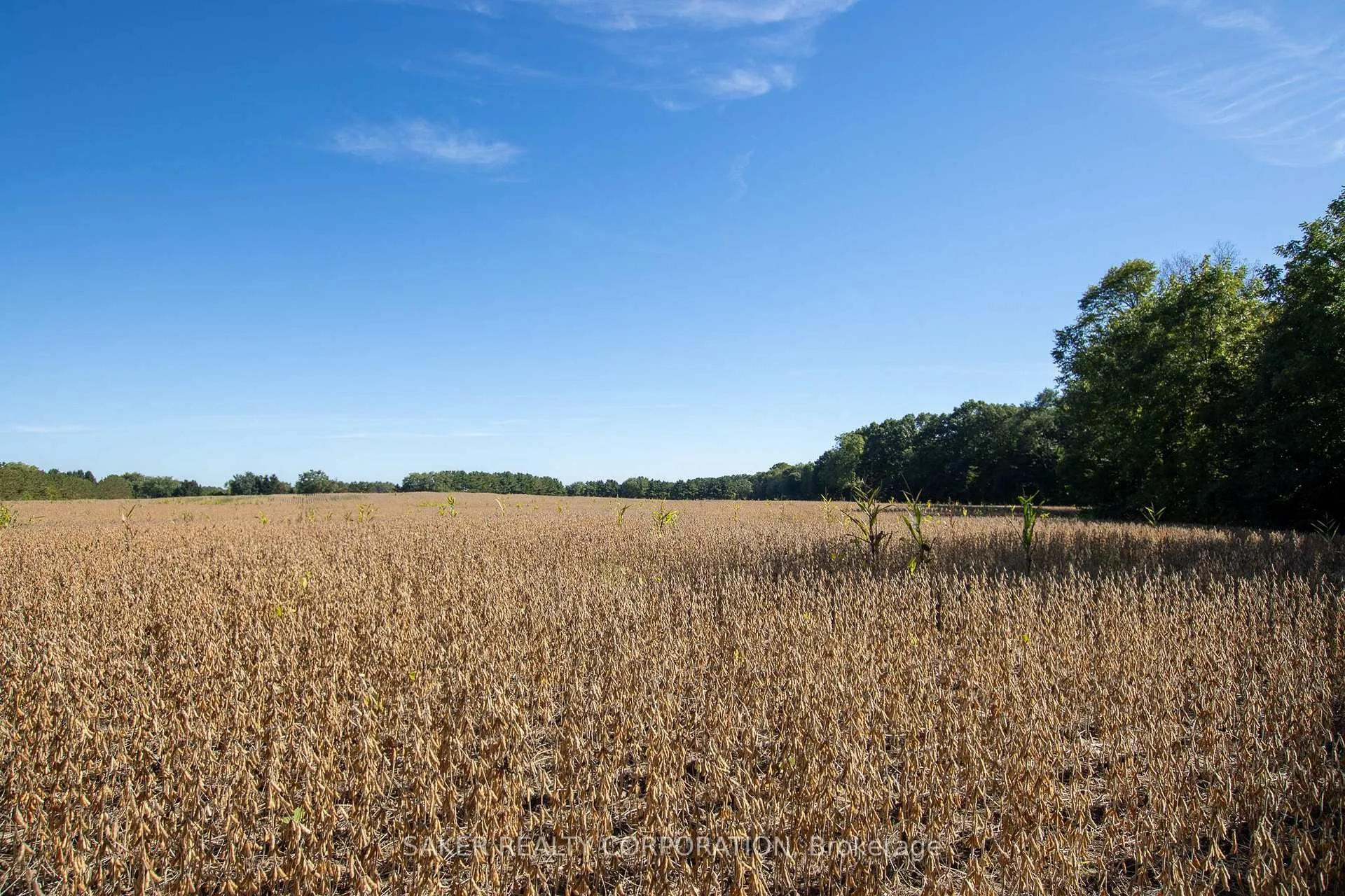 Photo 4 of 22580 Troops Road, Strathroy-Caradoc, Rural Strathroy-Caradoc — HOMEH