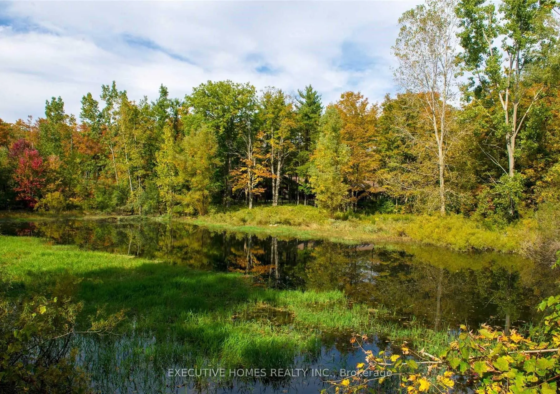 Photo 54 of 7651 Milburough Line, Milton, Rural Milton West — HOMEH
