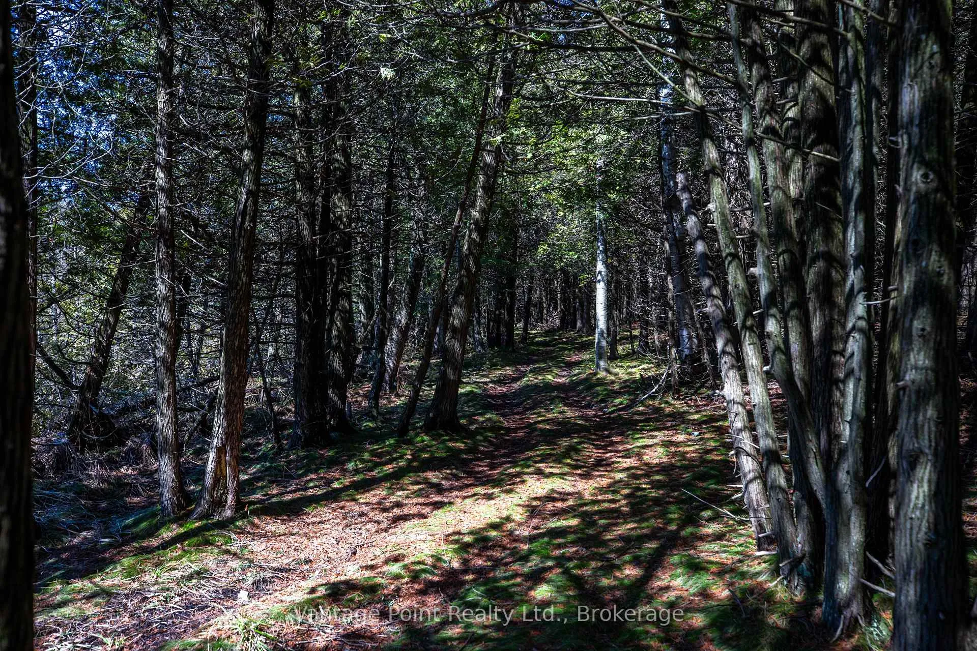 Photo 7 of 716612 West Back Line, Chatsworth — HOMEH
