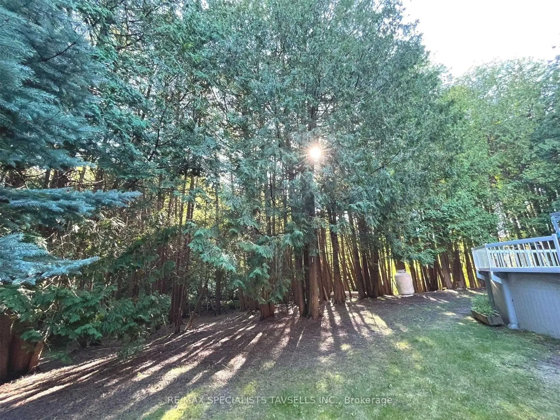 Photo 32 of 4 Sunshine Mountain Drive, Caledon, Rural Caledon — HOMEH