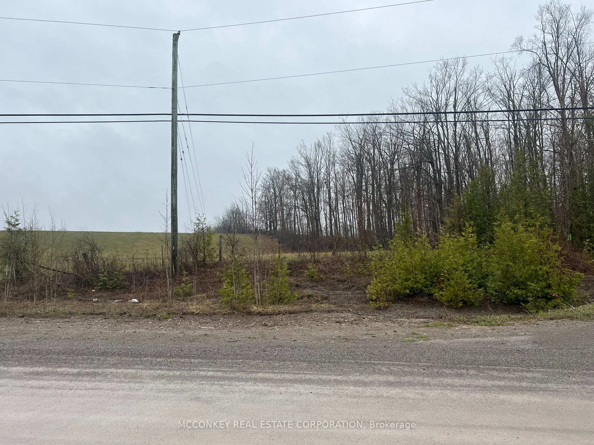 Photo 7 of 1020 Centre Road, Douro-Dummer — HOMEH