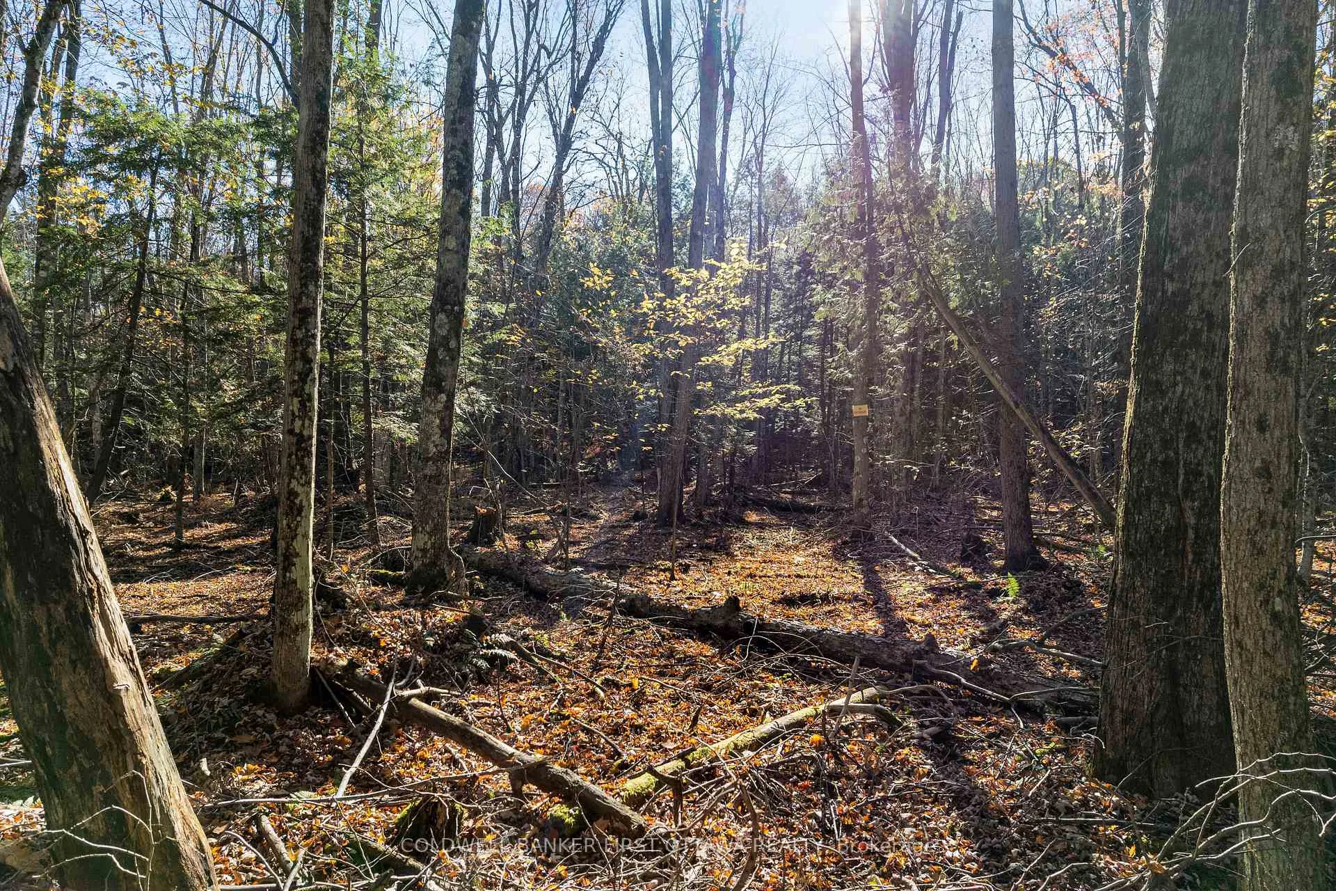 Photo 29 of 334 Featherston Lane, Tay Valley, Bathurst/Burgess & Sherbrooke (South Sherbrooke) Twp — HOMEH