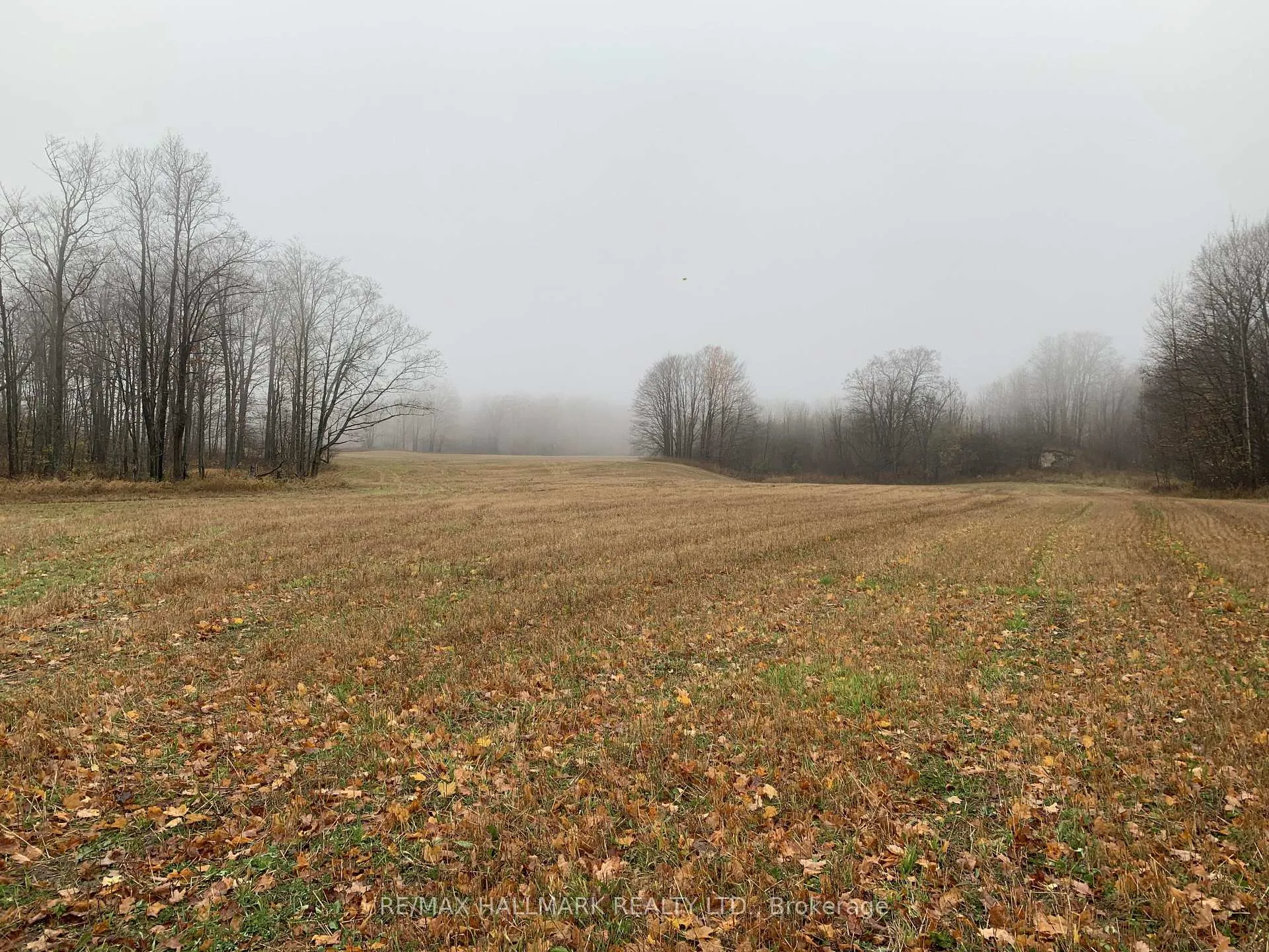 Photo 3 of 37 - 40 Concession 1 Township, West Grey — HOMEH
