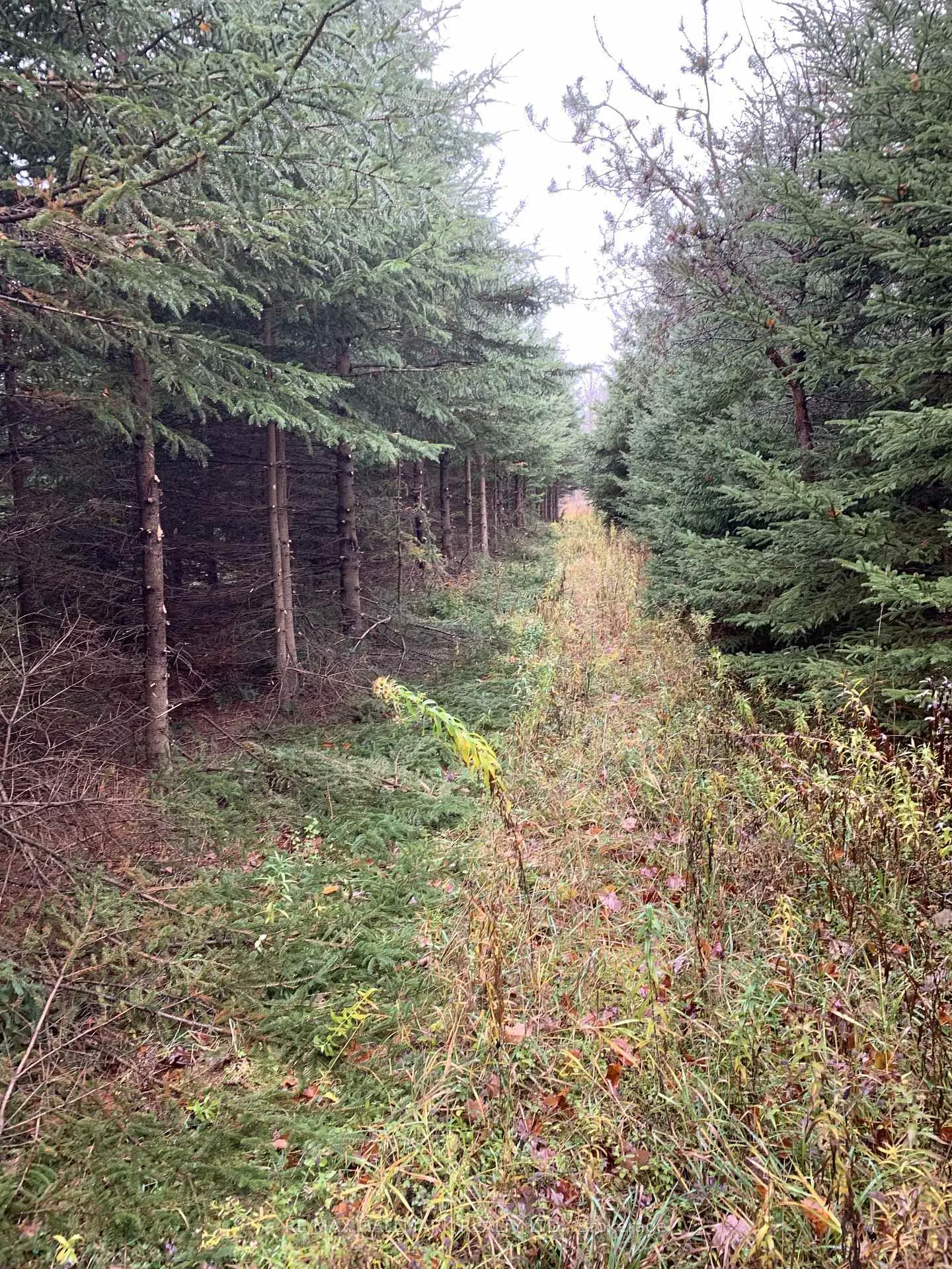 Photo 5 of 37 - 40 Concession 1 Township, West Grey — HOMEH