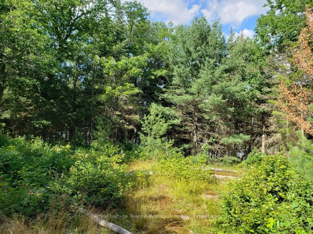 Photo 3 of Unopened Road Allowance, McKellar — HOMEH