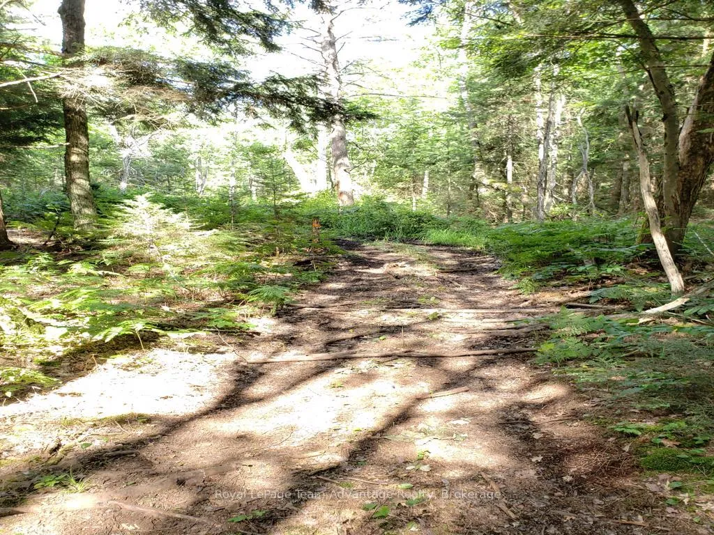 Photo 9 of Unopened Road Allowance, McKellar — HOMEH