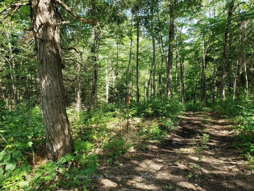 Photo 11 of Unopened Road Allowance, McKellar — HOMEH