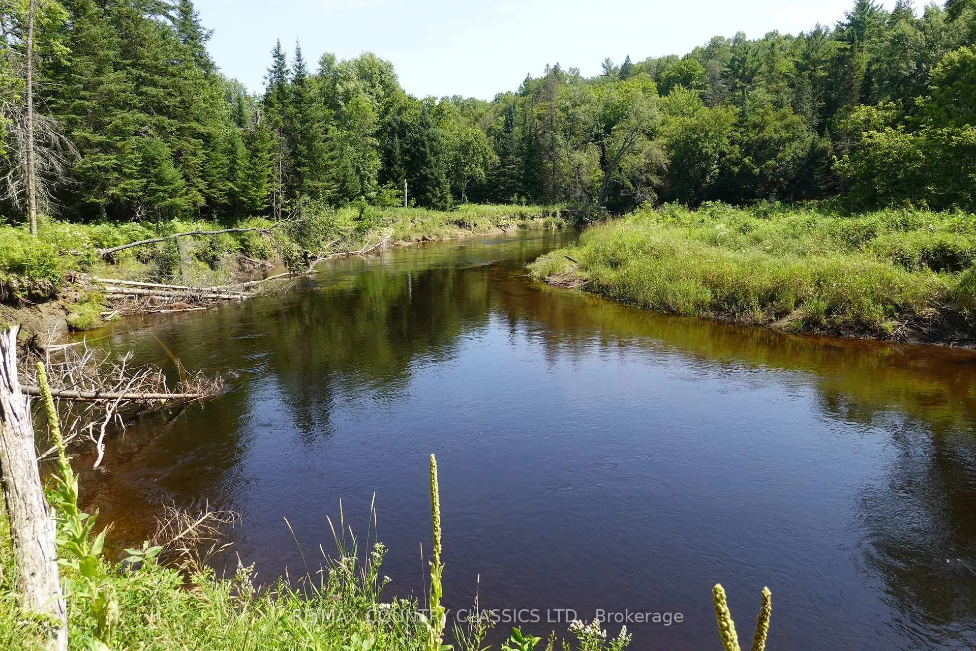 Photo 4 of 739B Bronson Road, Bancroft, Dungannon Ward — HOMEH