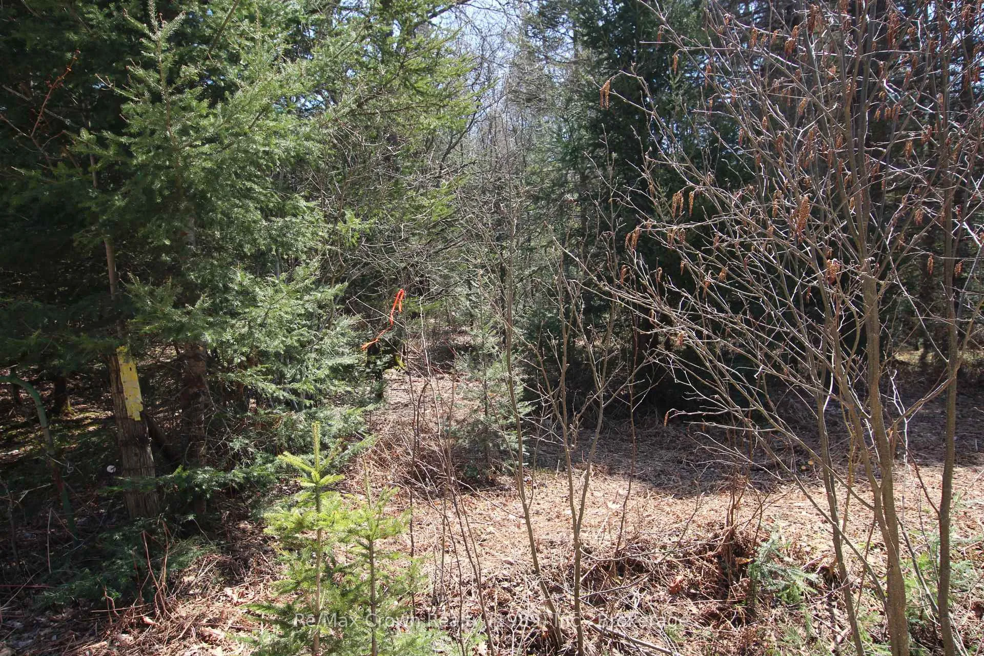 Photo 5 of Barrett Road, Nipissing — HOMEH