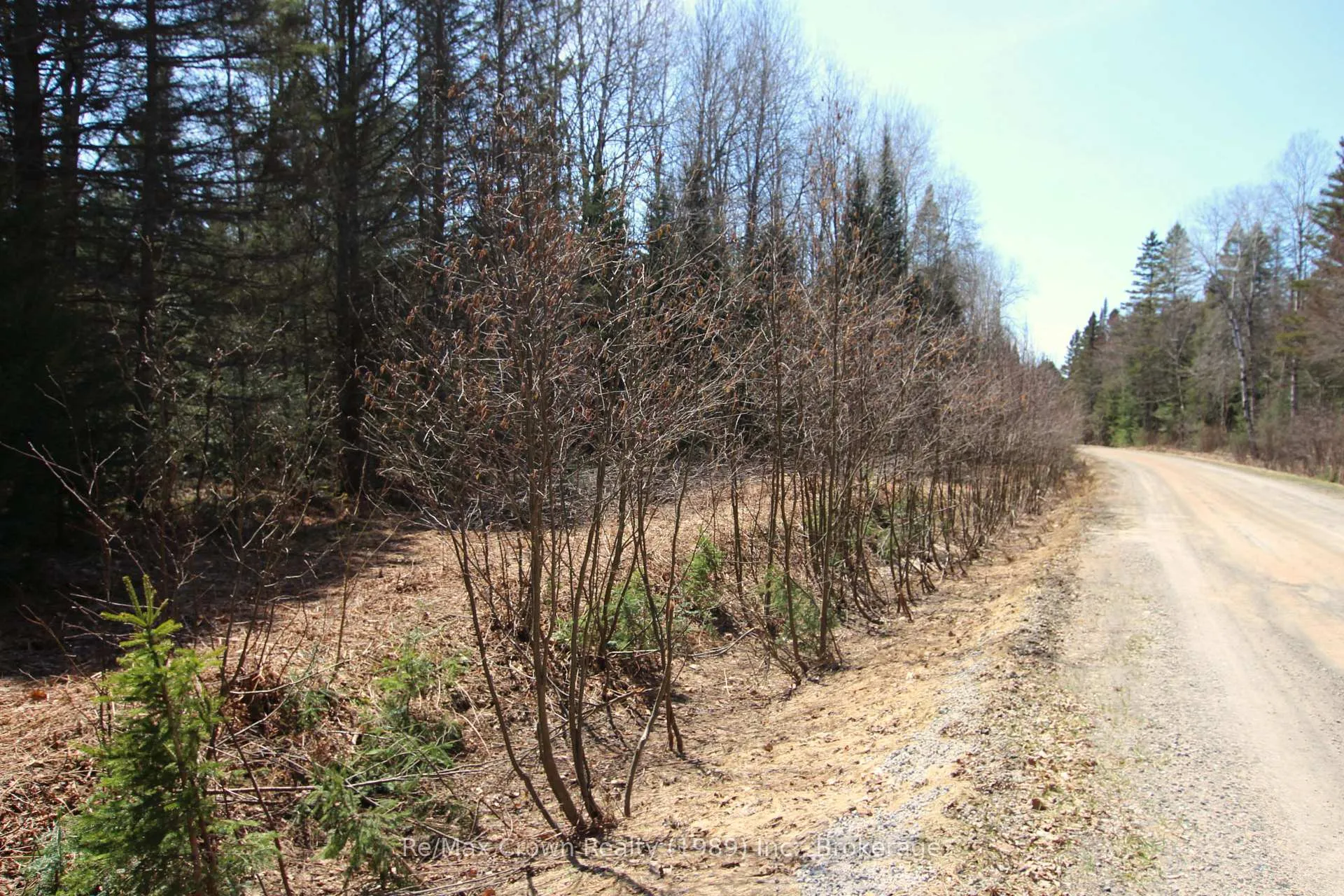 Photo 6 of Barrett Road, Nipissing — HOMEH