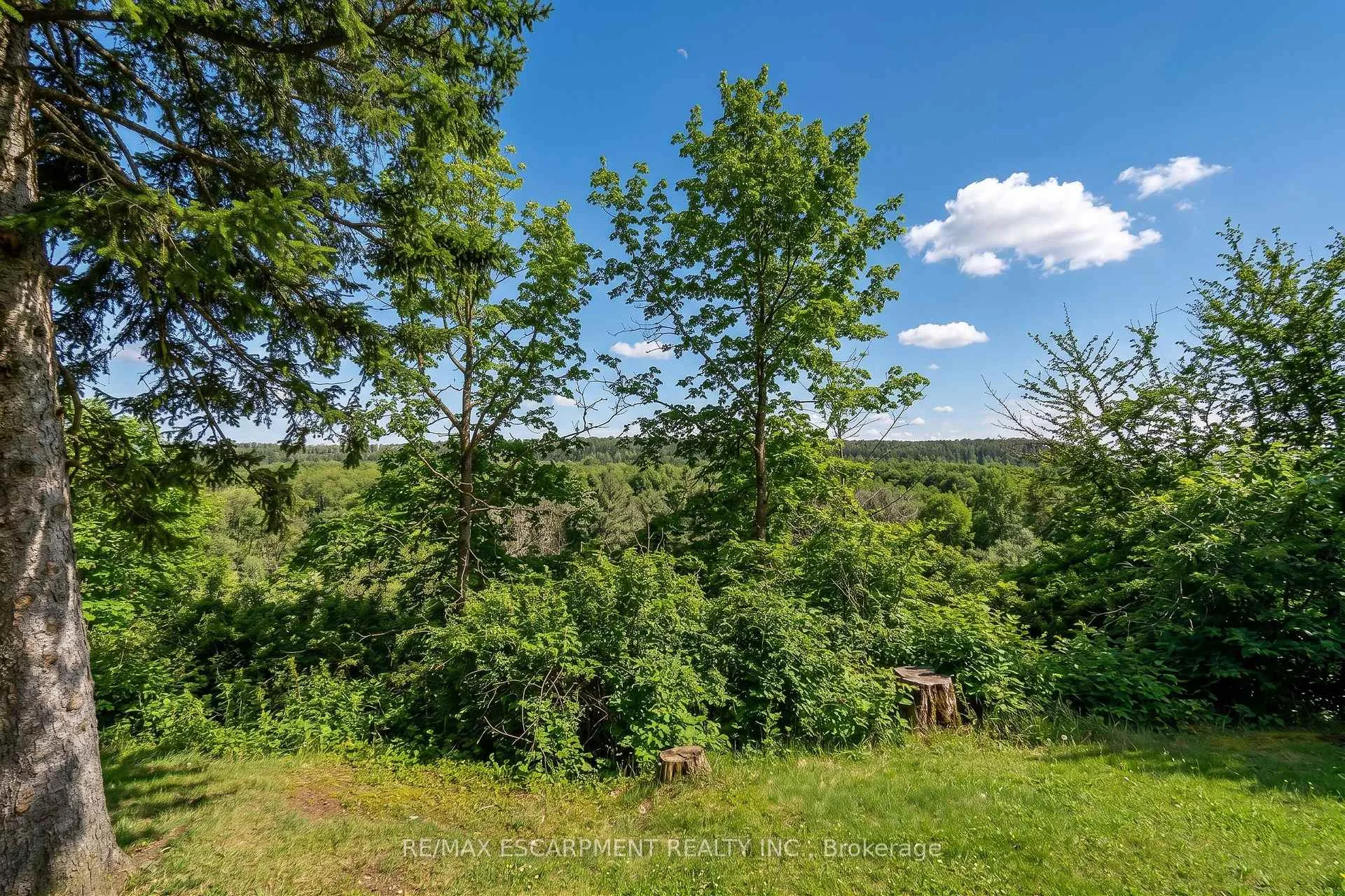 Photo 41 of 5651 Kelso Road, Milton, Rural Milton West — HOMEH