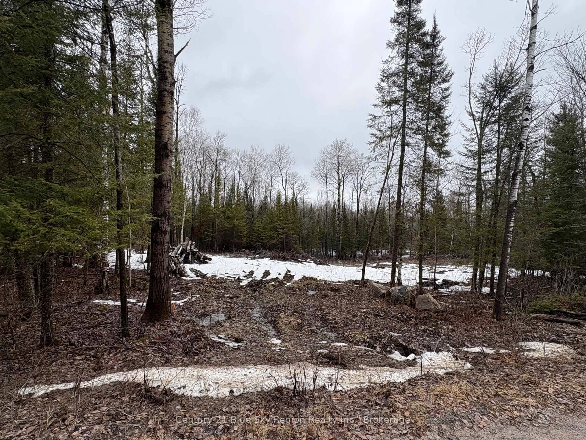Photo 1 of PT E1/2 Hillcrest Road, East Ferris, Astorville — HOMEH