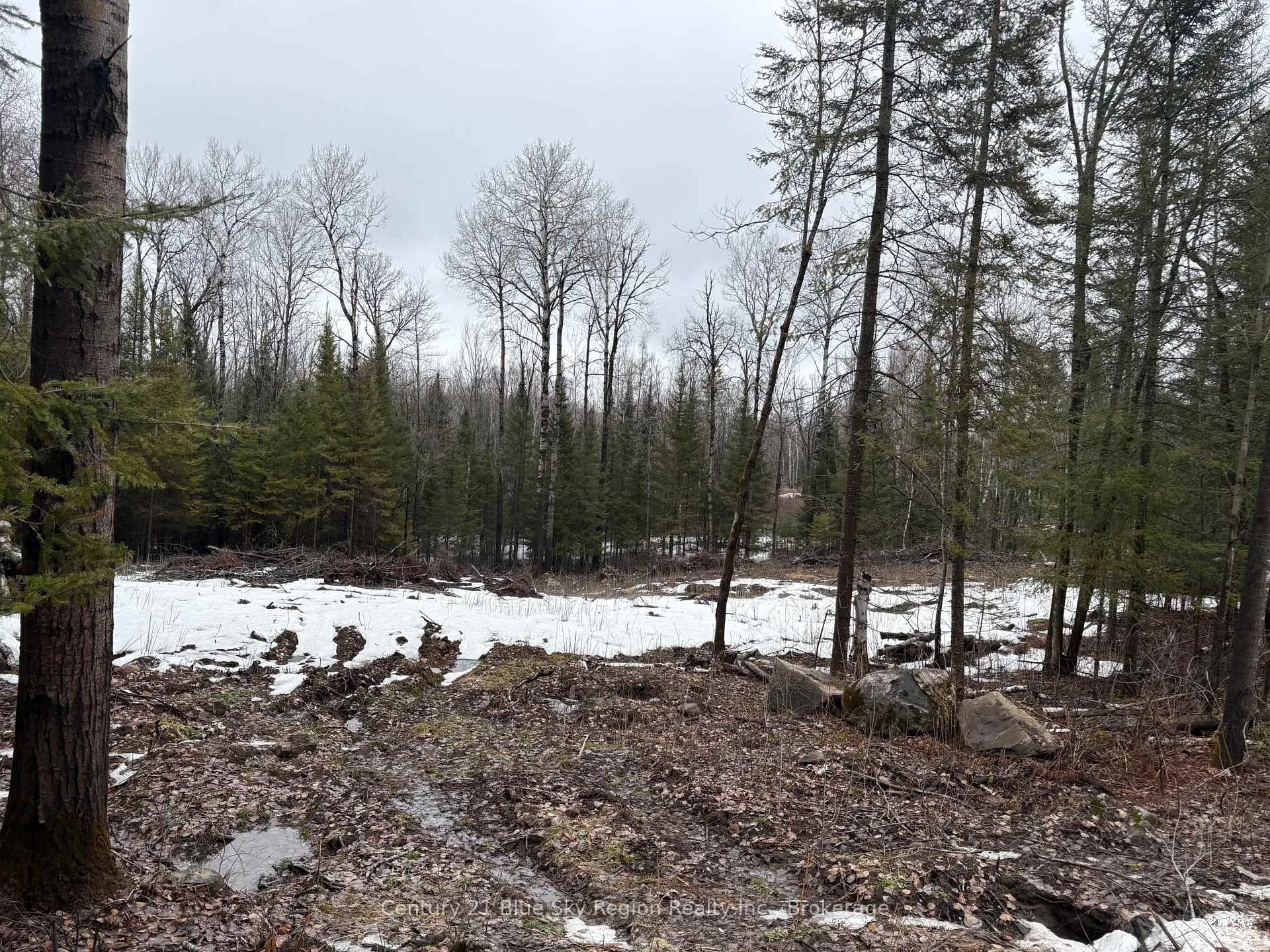 Photo 2 of PT E1/2 Hillcrest Road, East Ferris, Astorville — HOMEH