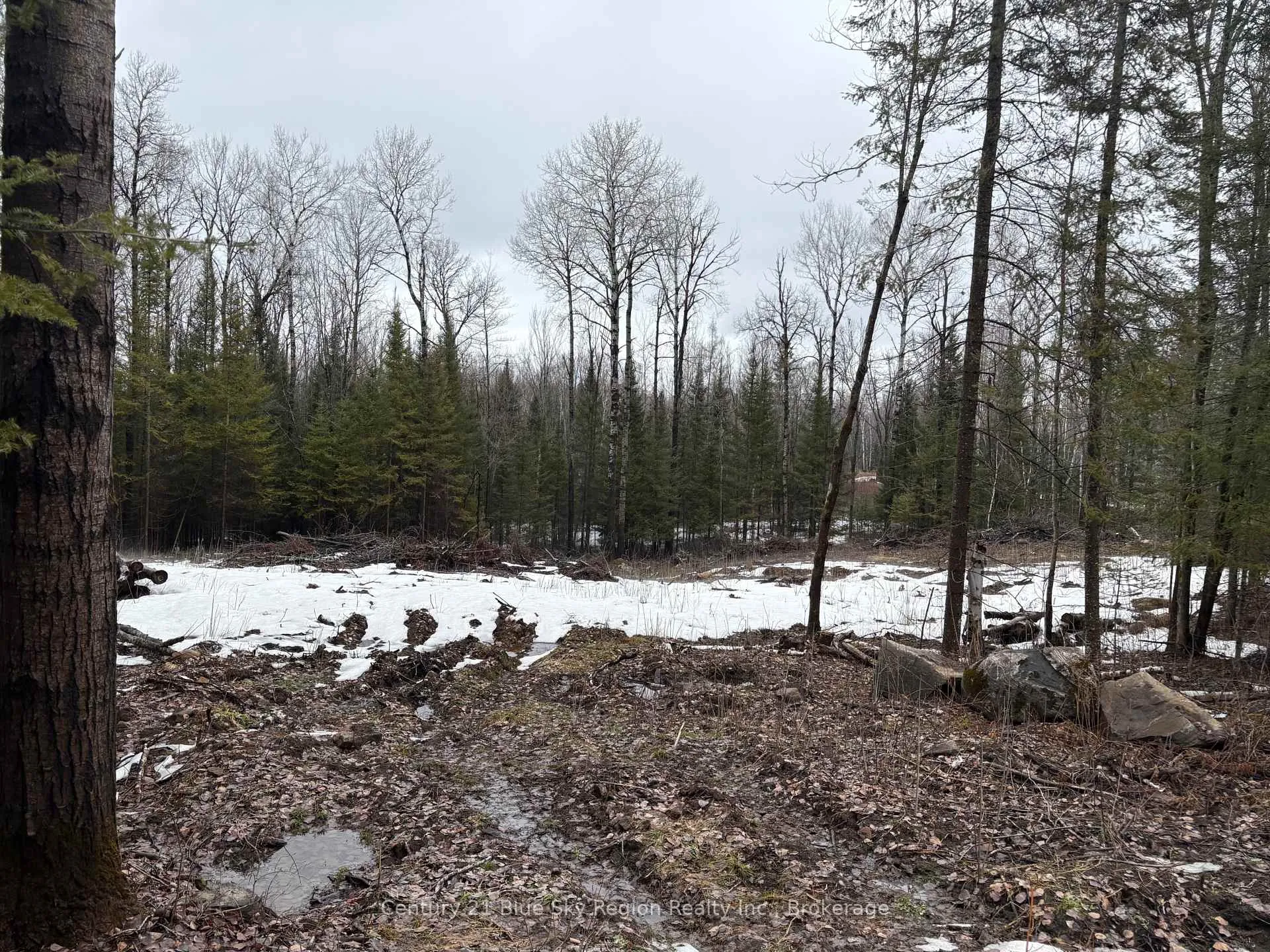 Photo 3 of PT E1/2 Hillcrest Road, East Ferris, Astorville — HOMEH