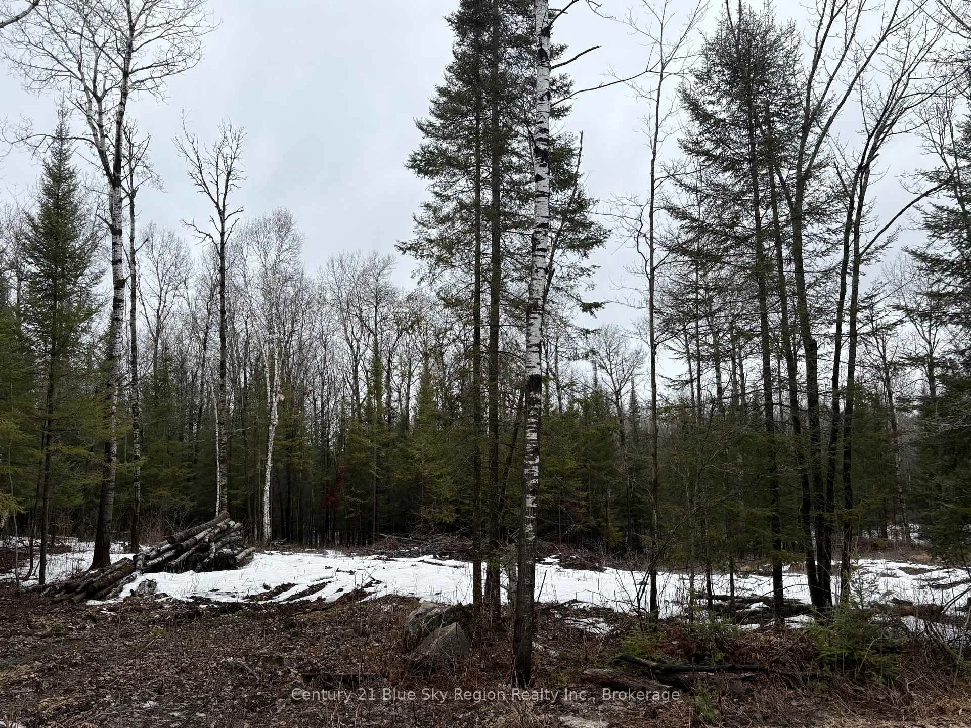 Photo 4 of PT E1/2 Hillcrest Road, East Ferris, Astorville — HOMEH