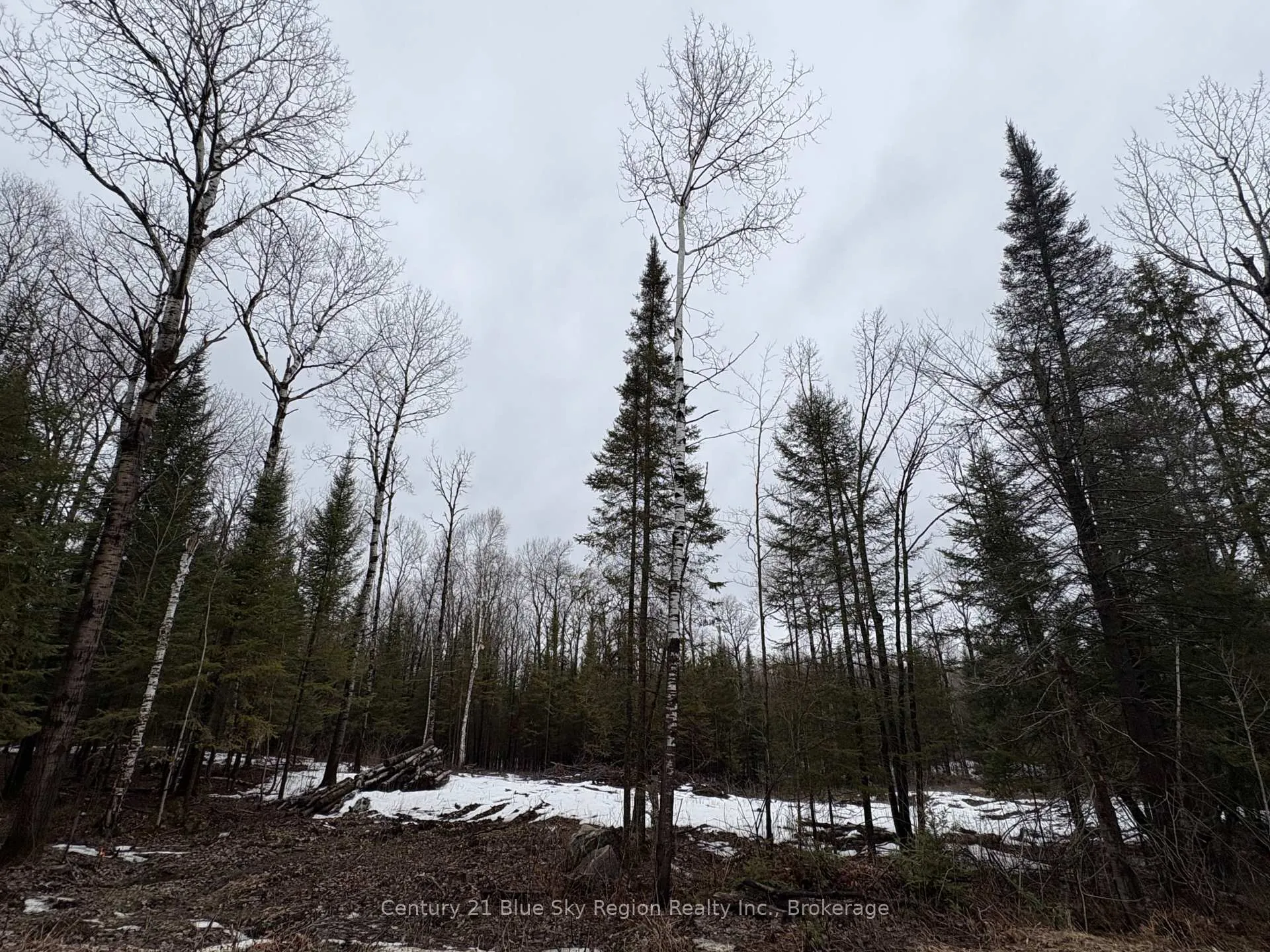 Photo 5 of PT E1/2 Hillcrest Road, East Ferris, Astorville — HOMEH