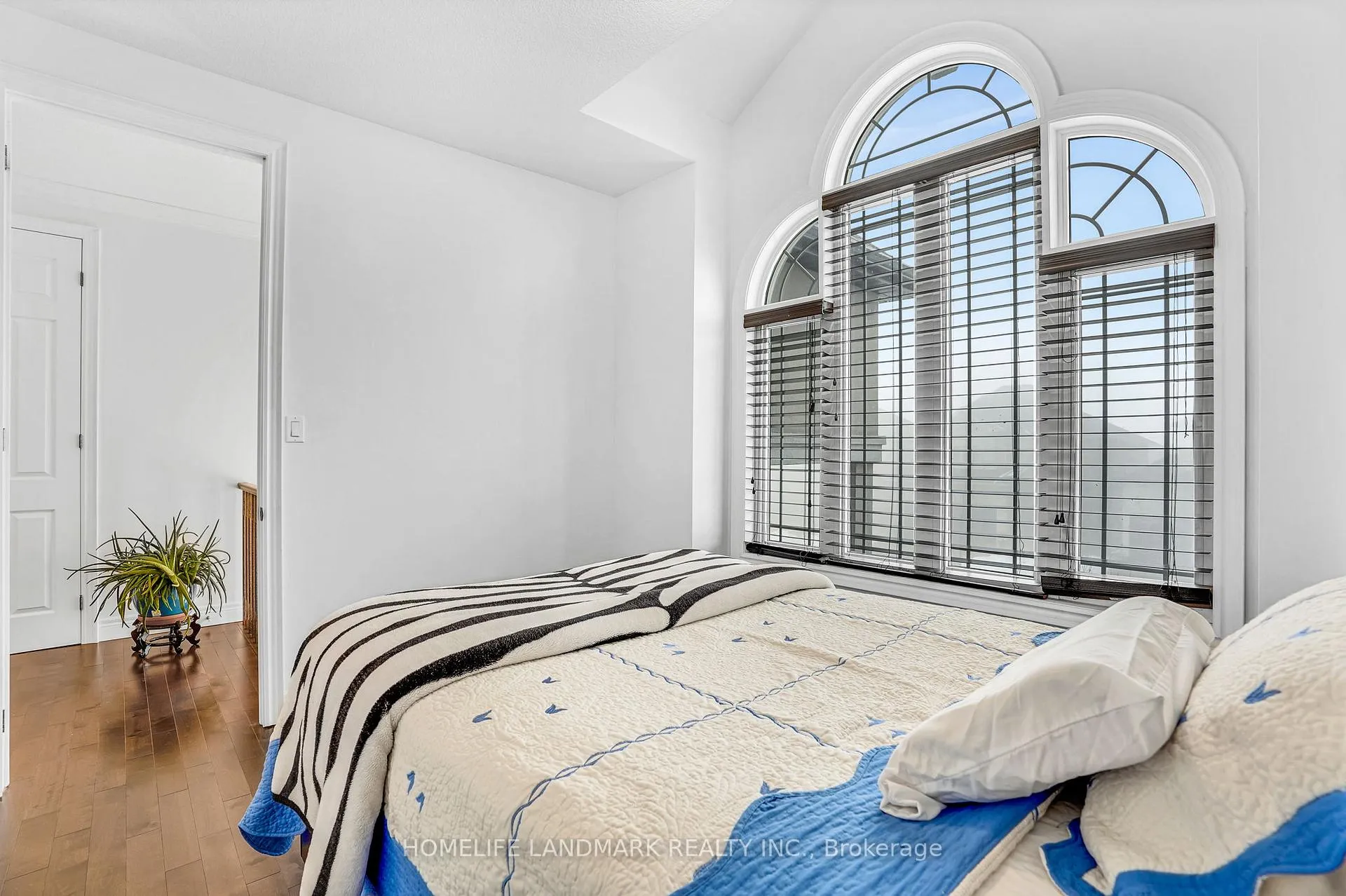 Photo 21 of 26 Ascoli Drive, Hamilton, Ryckmans — HOMEH