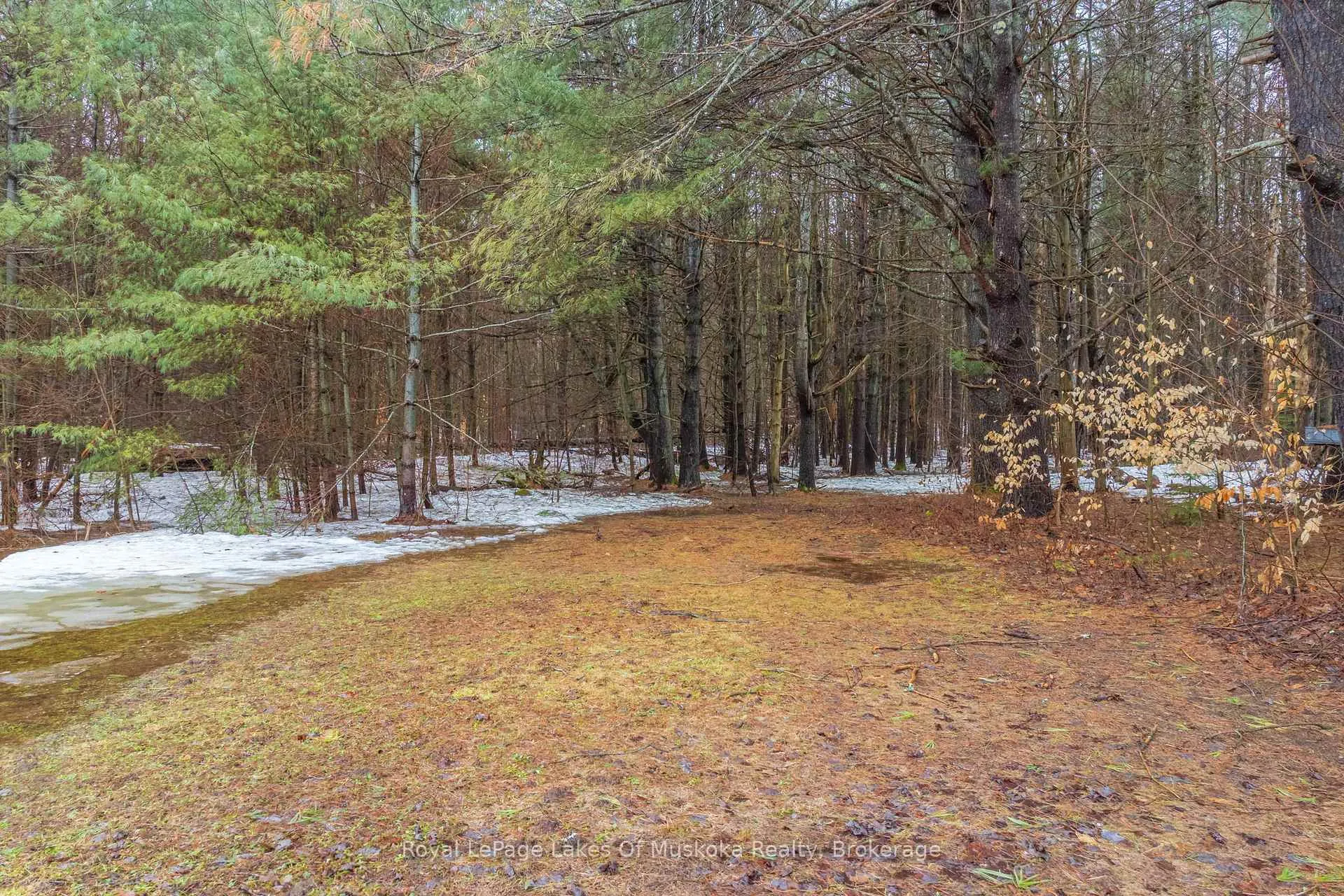 Photo 39 of 1150 Manitoba Street, Bracebridge, Monck (Bracebridge) — HOMEH
