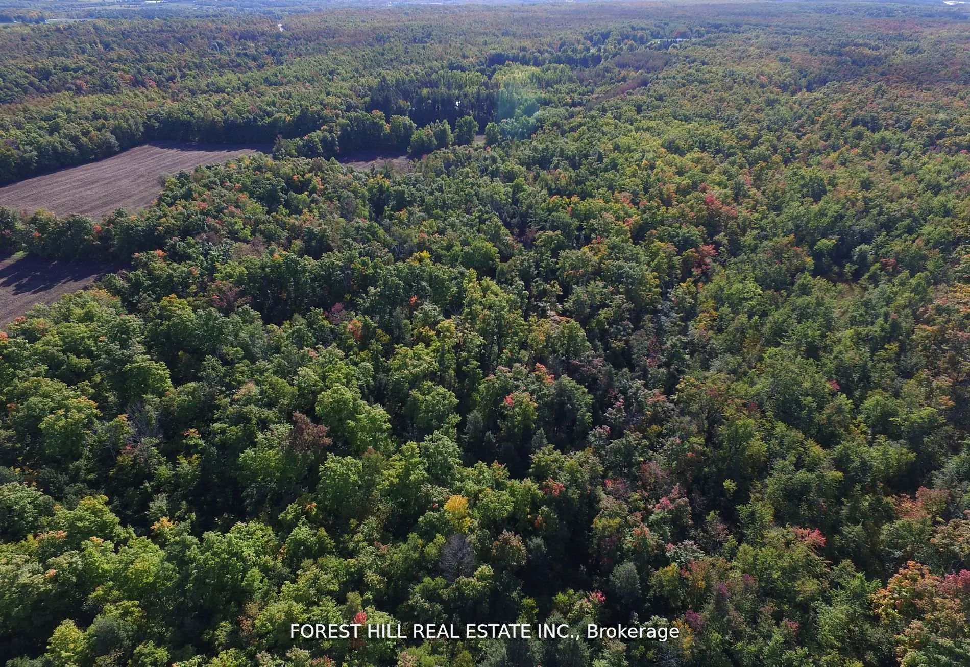 Photo 8 of 7406 17 Side Road, Halton Hills, Rural Esquesing — HOMEH