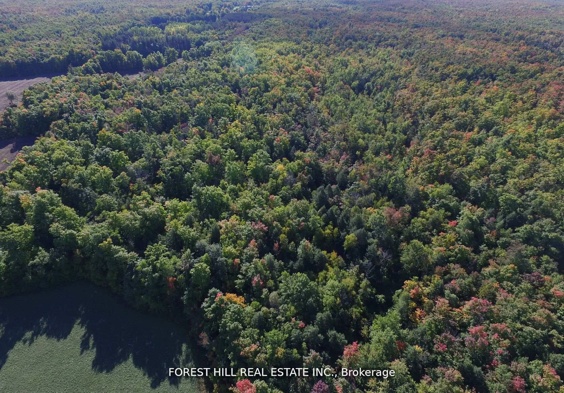 Photo 12 of 7406 17 Side Road, Halton Hills, Rural Esquesing — HOMEH