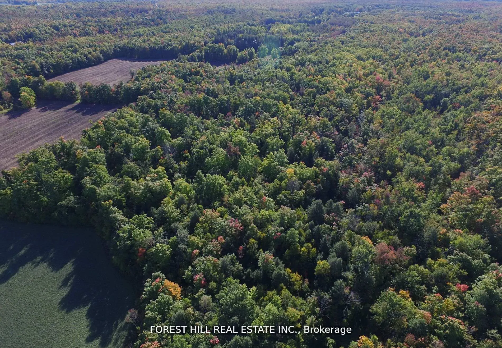 Photo 13 of 7406 17 Side Road, Halton Hills, Rural Esquesing — HOMEH