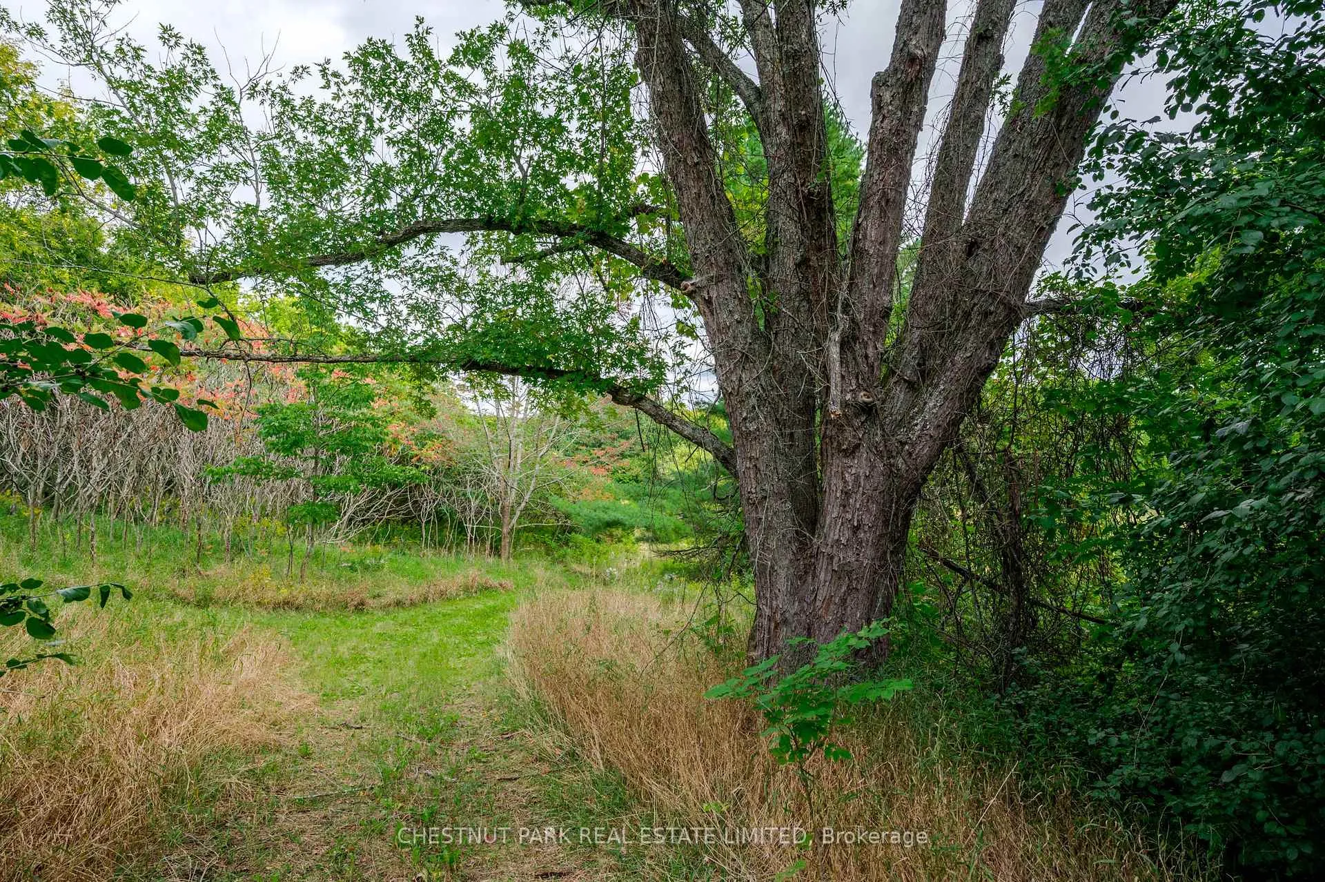Photo 11 of 000 Crossen Road, Hamilton Township, Rural Hamilton — HOMEH