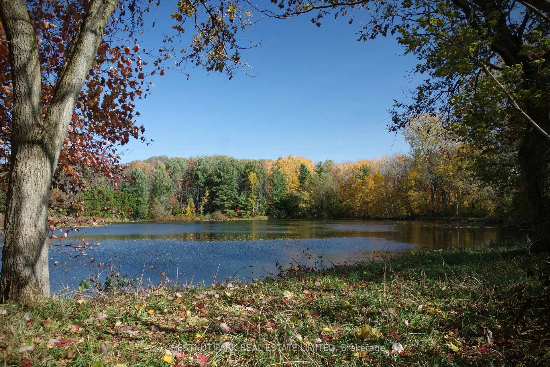 Photo 12 of 000 Crossen Road, Hamilton Township, Rural Hamilton — HOMEH