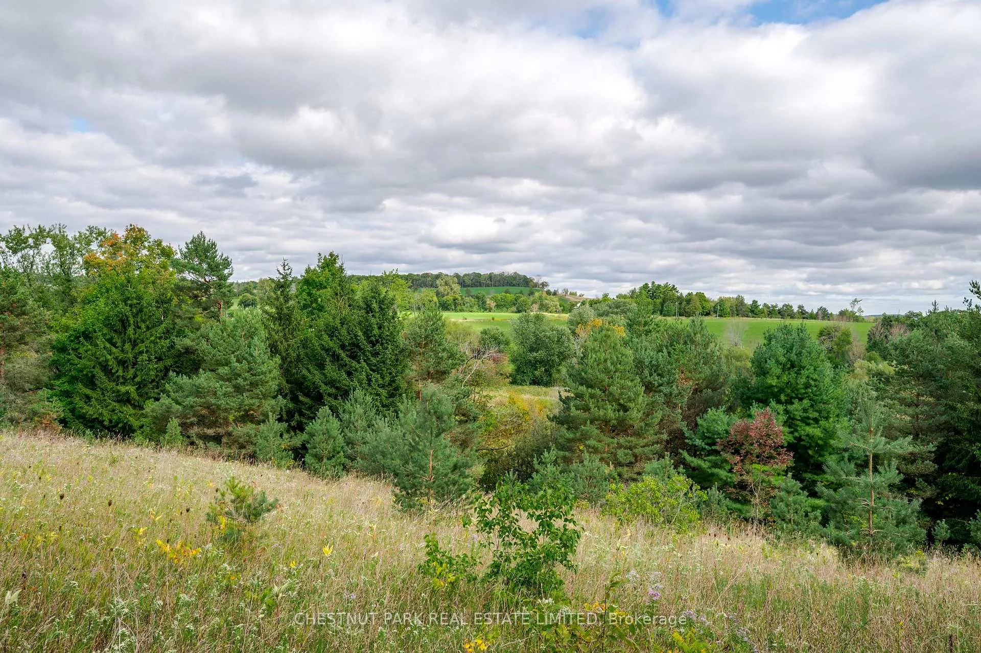 Photo 14 of 000 Crossen Road, Hamilton Township, Rural Hamilton — HOMEH