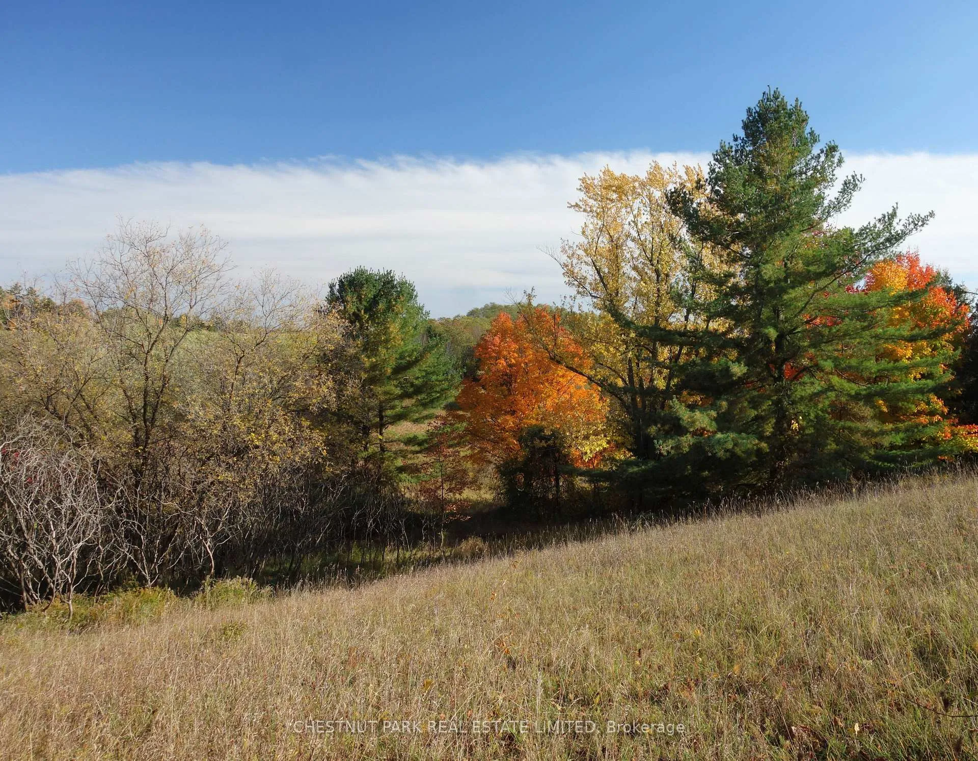 Photo 15 of 000 Crossen Road, Hamilton Township, Rural Hamilton — HOMEH