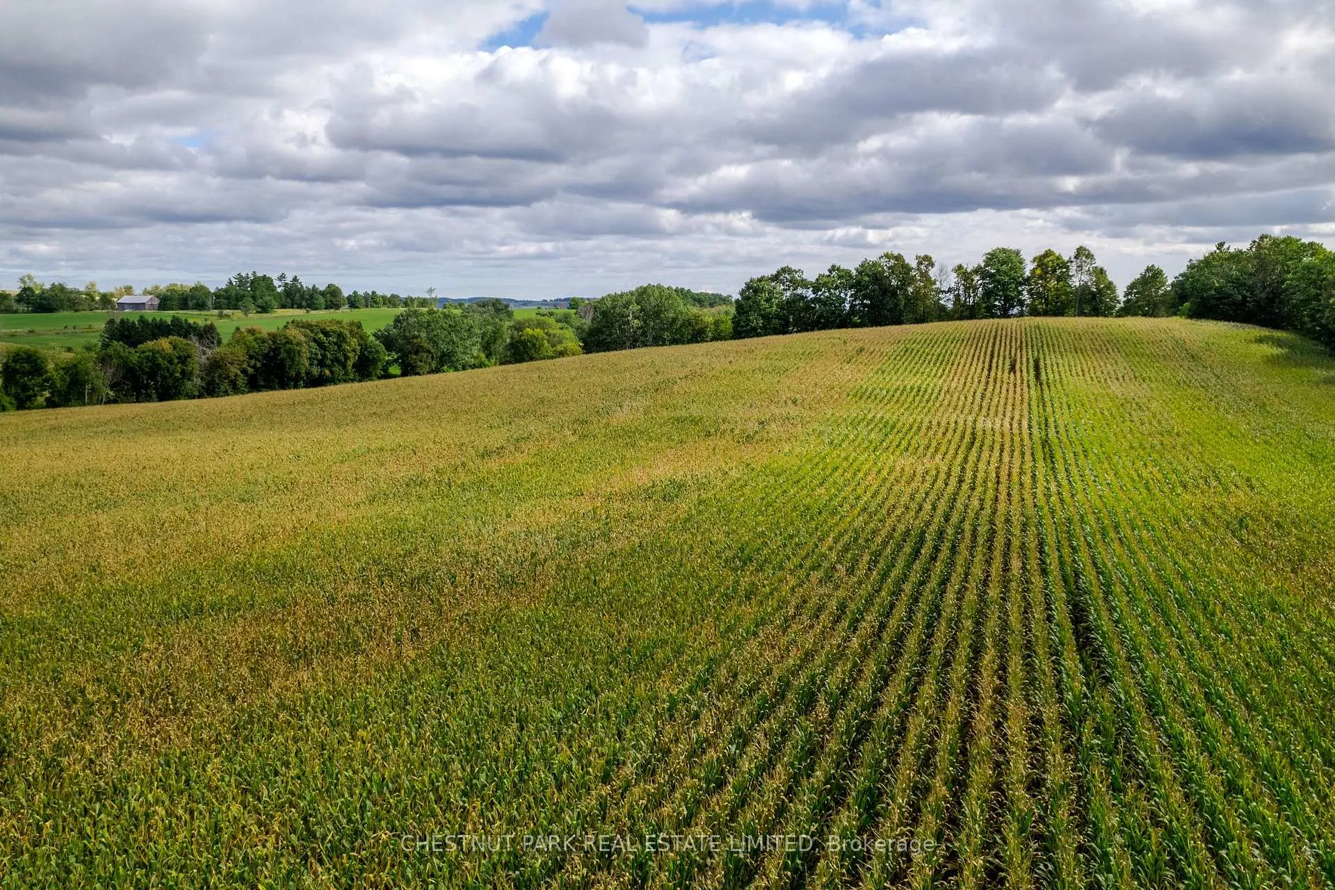 Photo 16 of 000 Crossen Road, Hamilton Township, Rural Hamilton — HOMEH