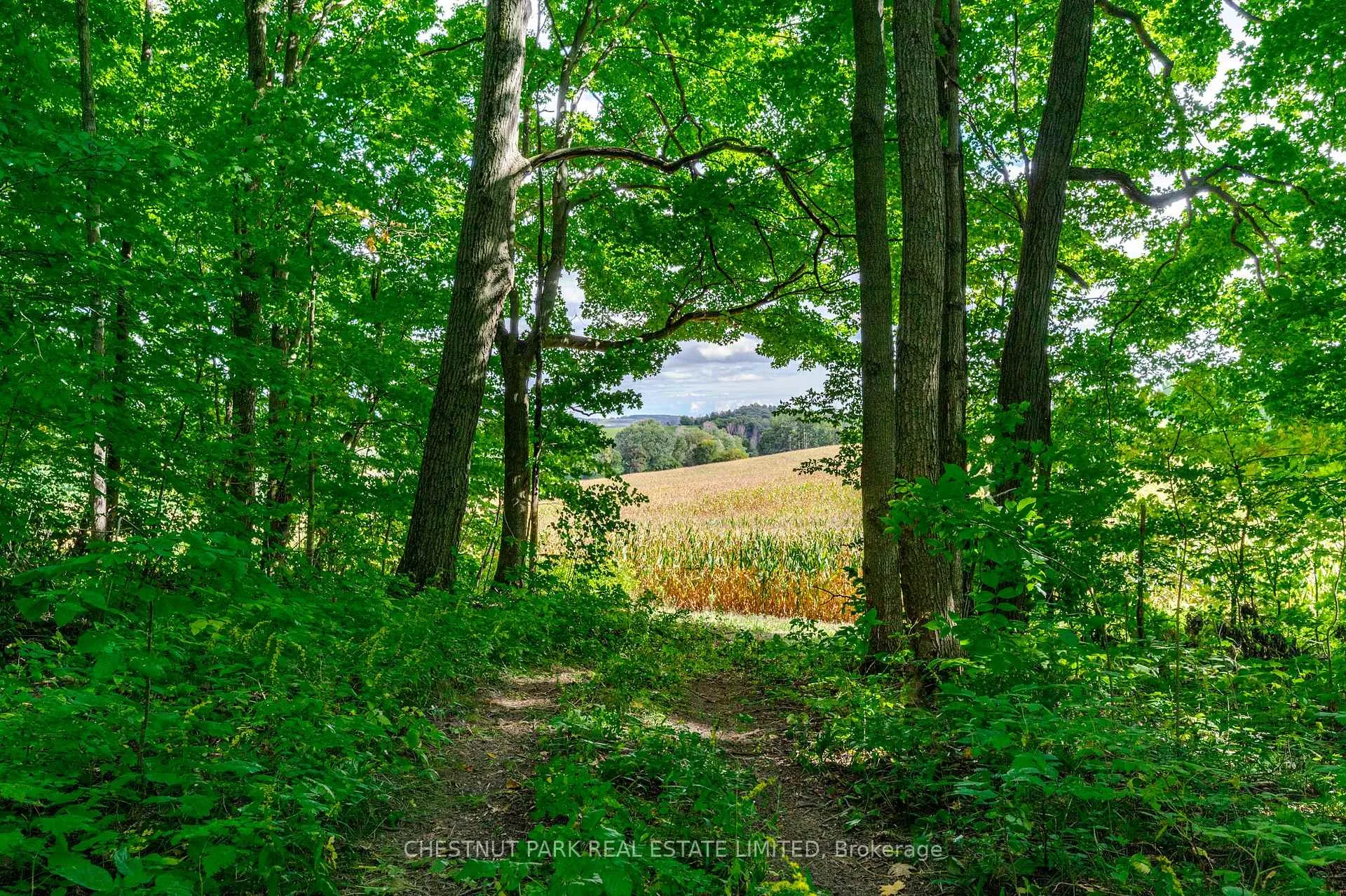 Photo 17 of 000 Crossen Road, Hamilton Township, Rural Hamilton — HOMEH