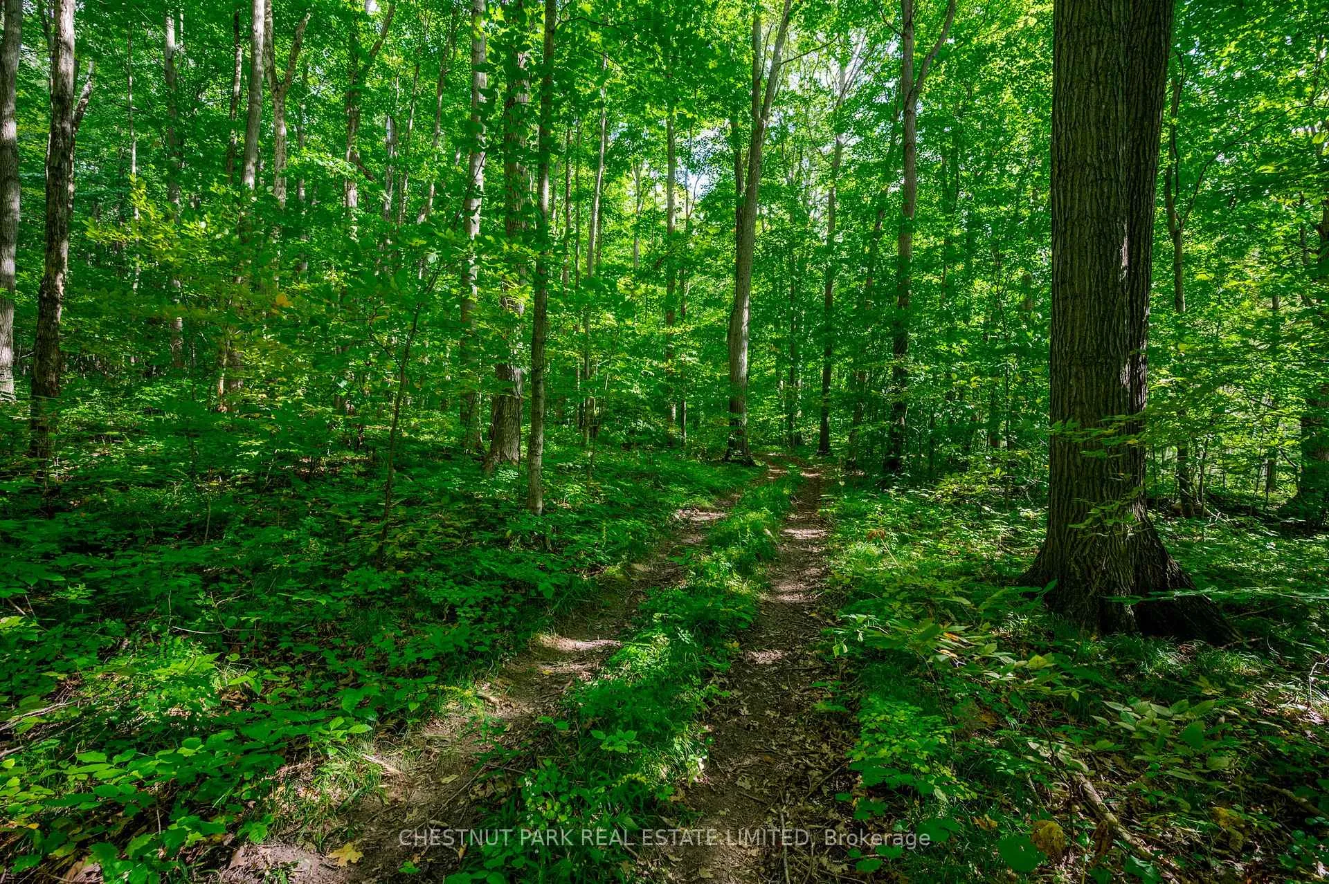 Photo 18 of 000 Crossen Road, Hamilton Township, Rural Hamilton — HOMEH