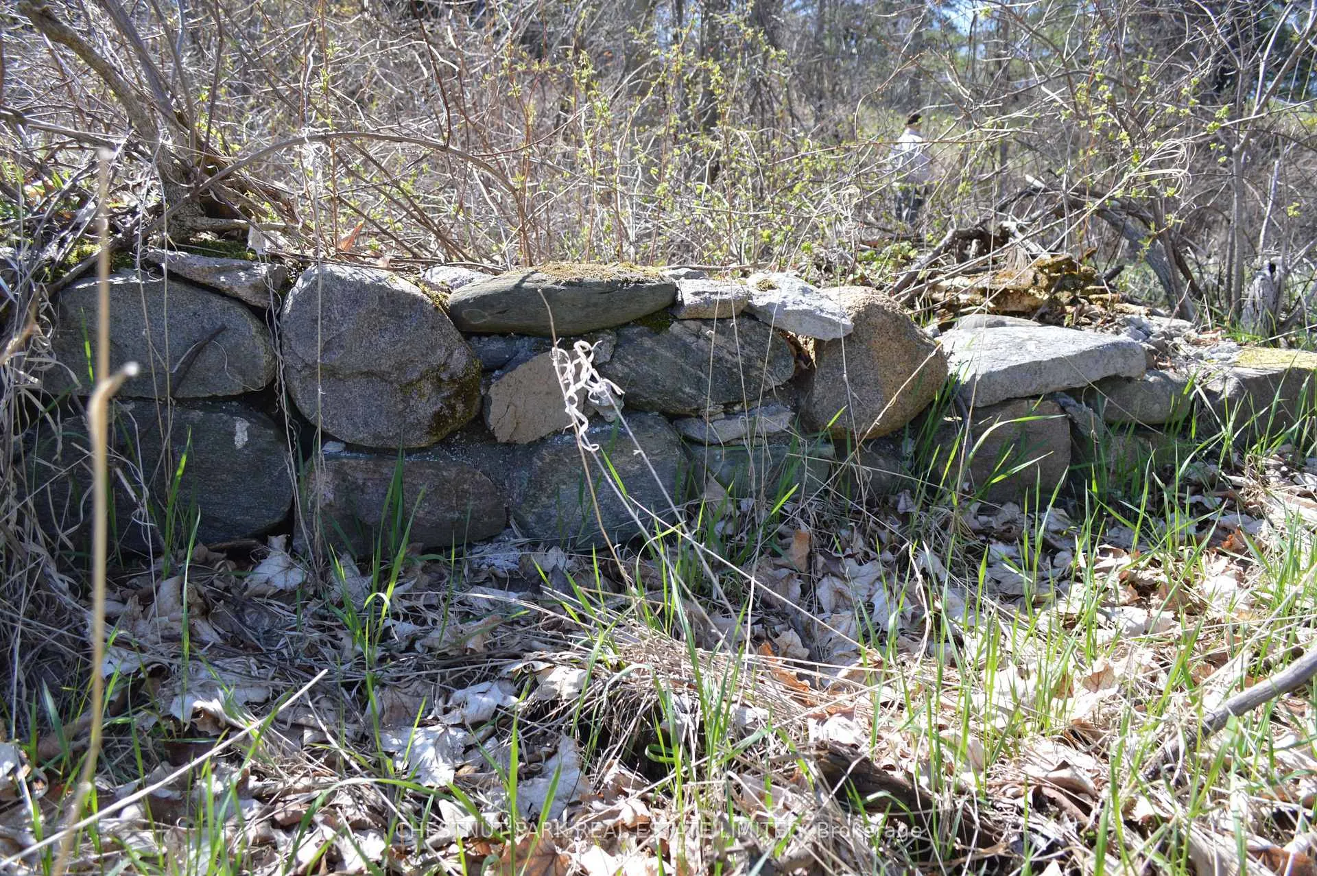 Photo 24 of 000 Crossen Road, Hamilton Township, Rural Hamilton — HOMEH