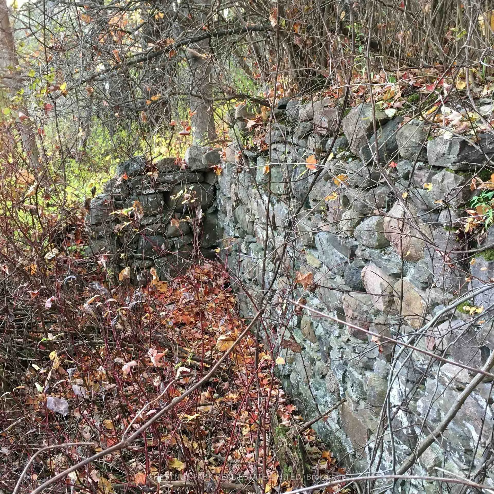 Photo 25 of 000 Crossen Road, Hamilton Township, Rural Hamilton — HOMEH