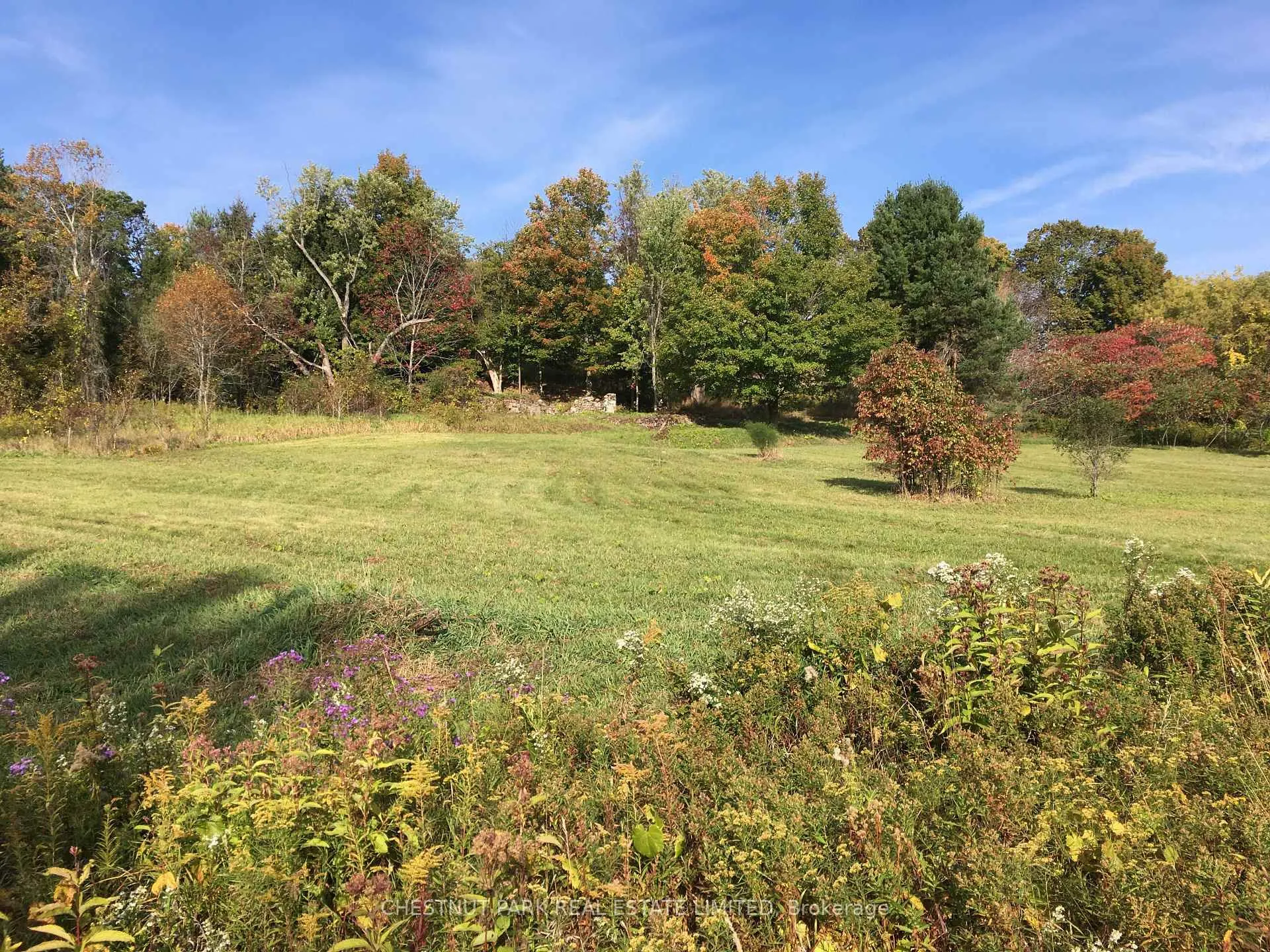Photo 26 of 000 Crossen Road, Hamilton Township, Rural Hamilton — HOMEH