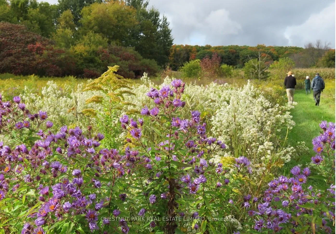 Photo 28 of 000 Crossen Road, Hamilton Township, Rural Hamilton — HOMEH