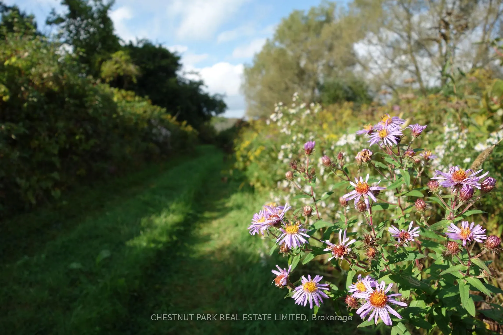 Photo 29 of 000 Crossen Road, Hamilton Township, Rural Hamilton — HOMEH