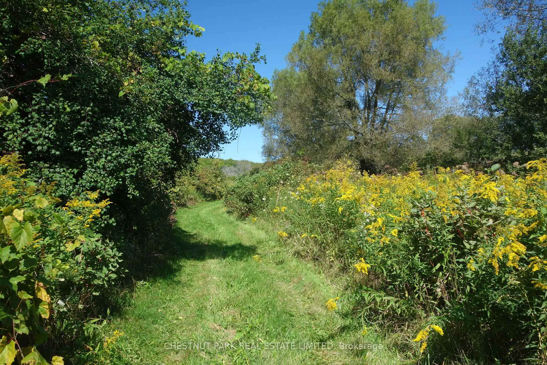 Photo 30 of 000 Crossen Road, Hamilton Township, Rural Hamilton — HOMEH