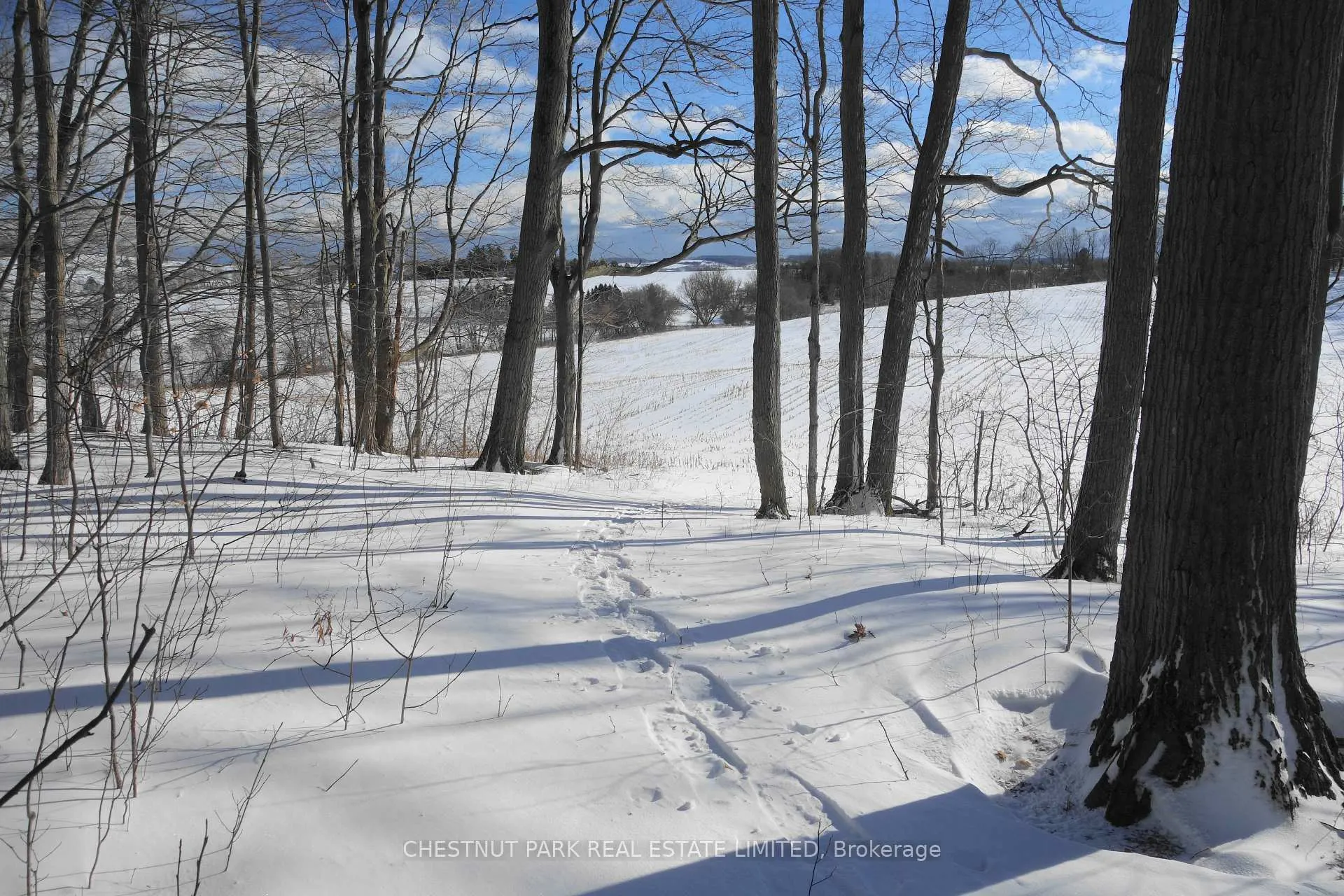 Photo 37 of 000 Crossen Road, Hamilton Township, Rural Hamilton — HOMEH