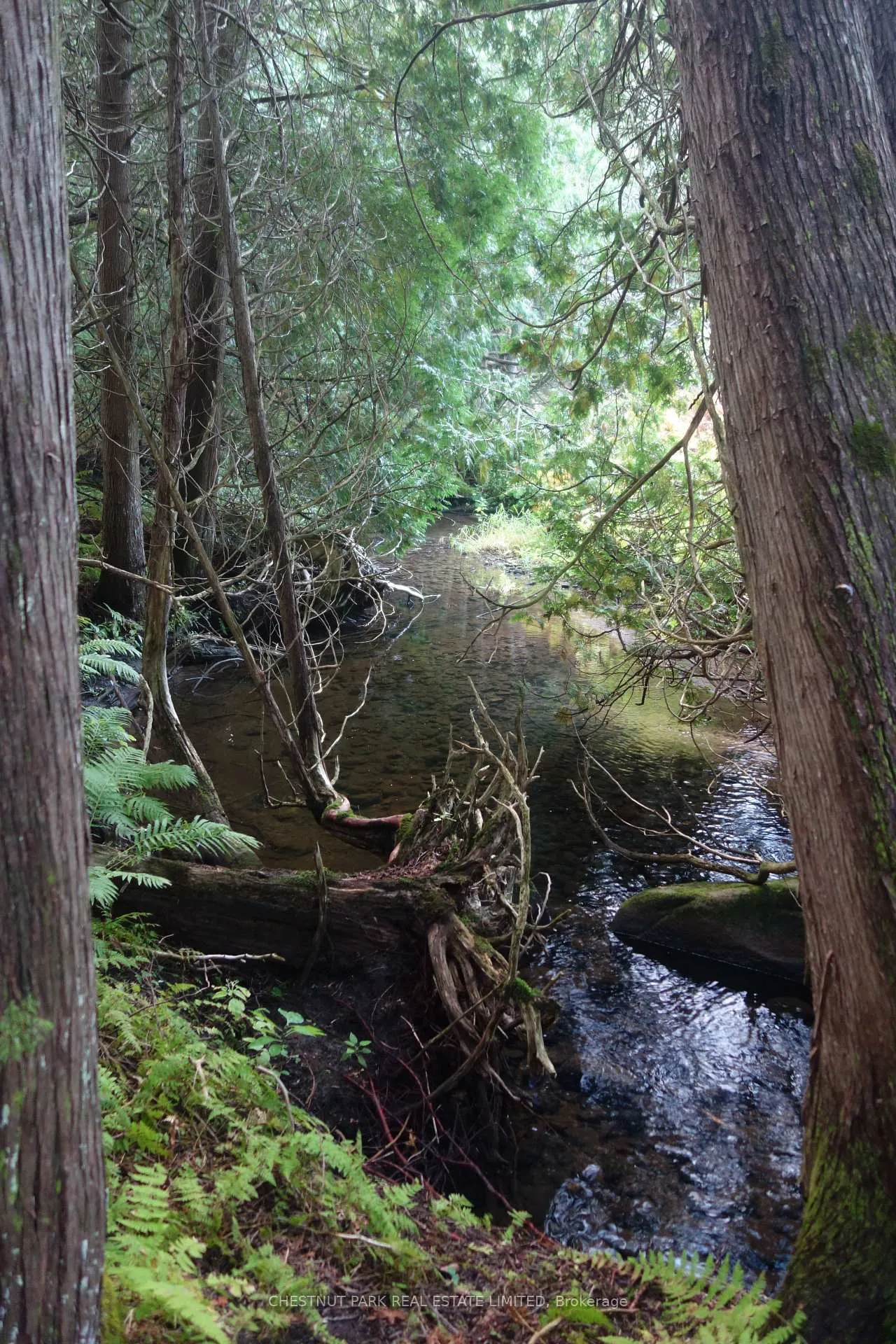 Photo 40 of 000 Crossen Road, Hamilton Township, Rural Hamilton — HOMEH