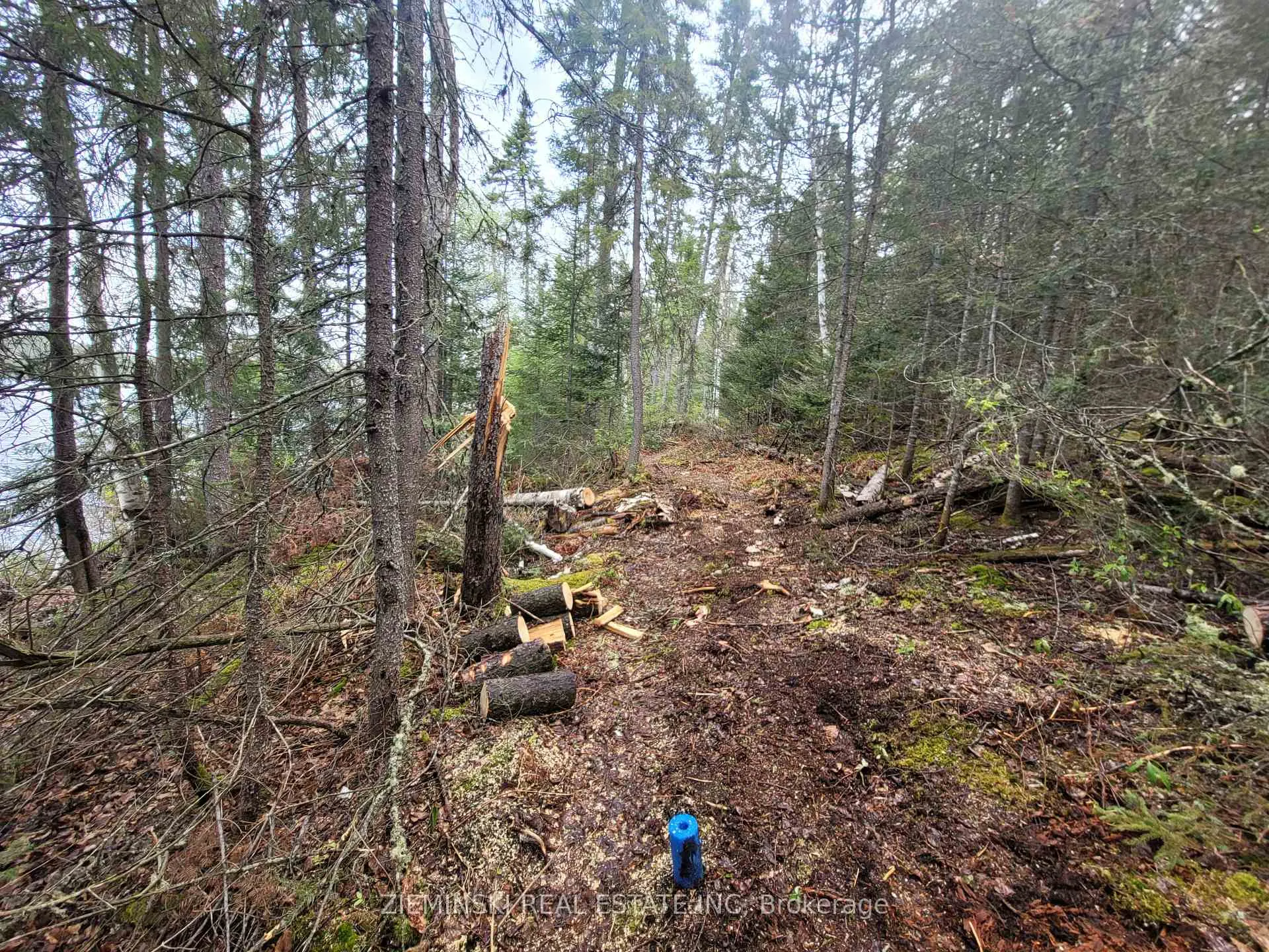 Photo 31 of Lot 5 Baden Plan 54M331, Timiskaming, TIM - Outside - Rural — HOMEH