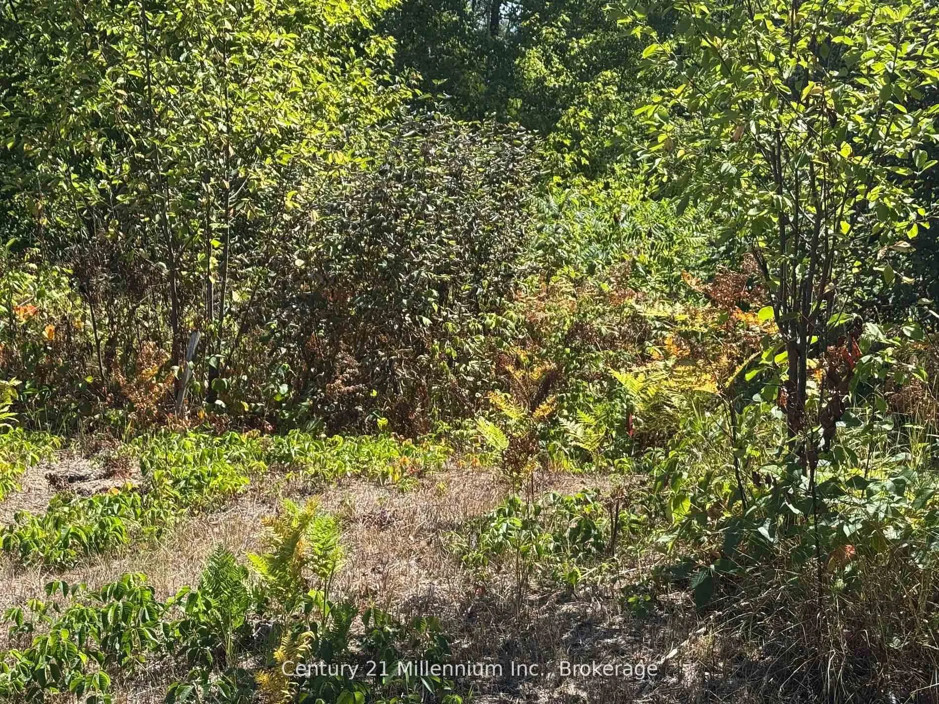 Photo 3 of 931 River Road E, Wasaga Beach — HOMEH