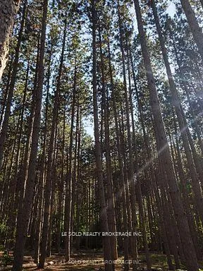 Photo 5 of 97 Tranquility Bay Drive, Bonnechere Valley, Eganville/Bonnechere Twp — HOMEH