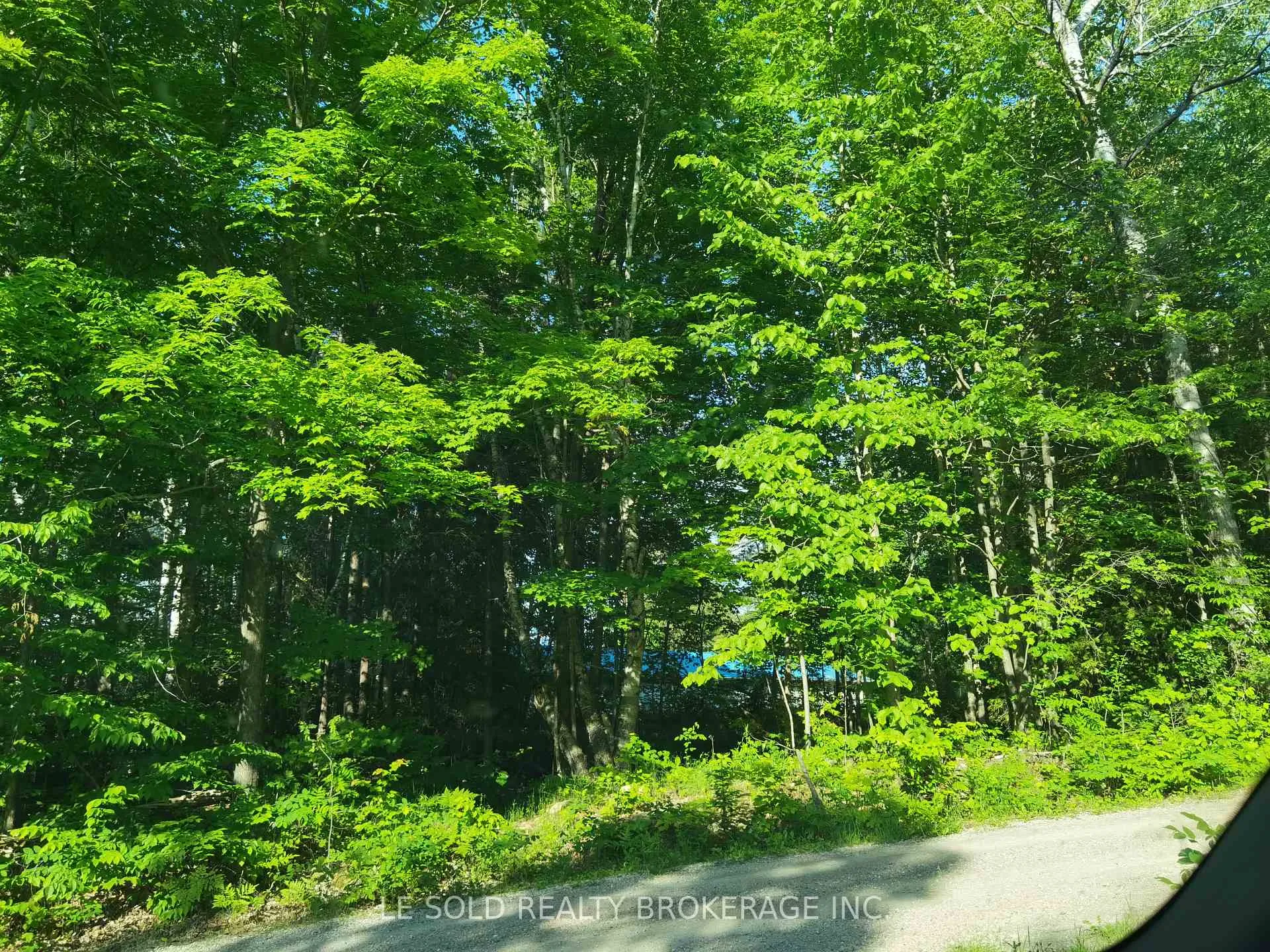 Photo 6 of 97 Tranquility Bay Drive, Bonnechere Valley, Eganville/Bonnechere Twp — HOMEH