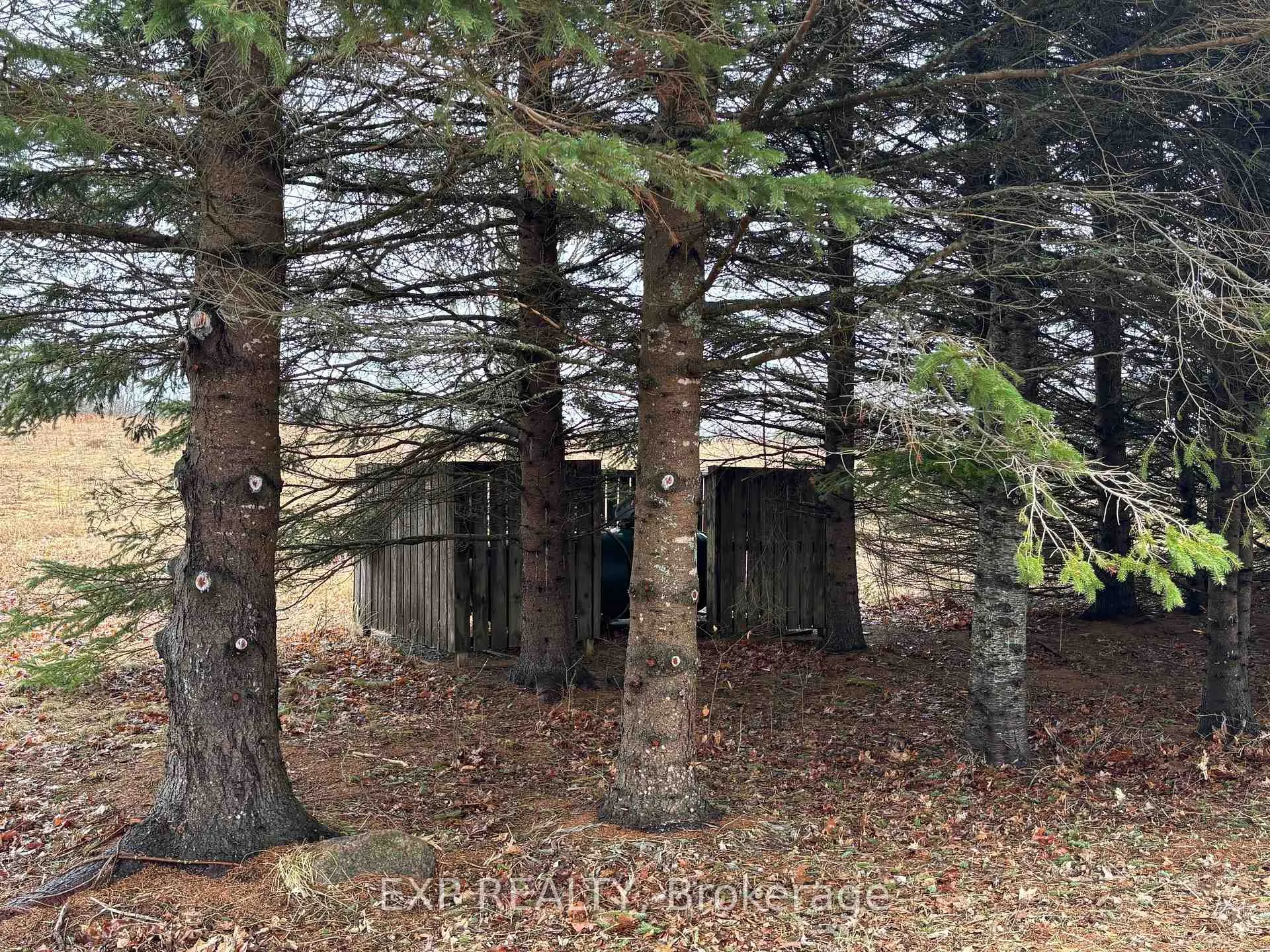 Photo 28 of 98 Kennedy Road, Carlow/Mayo, Carlow Ward — HOMEH