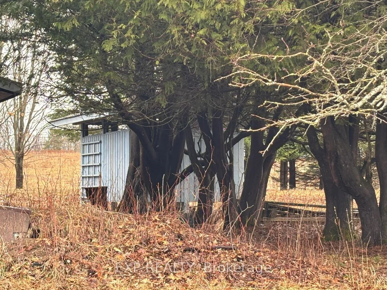 Photo 34 of 98 Kennedy Road, Carlow/Mayo, Carlow Ward — HOMEH
