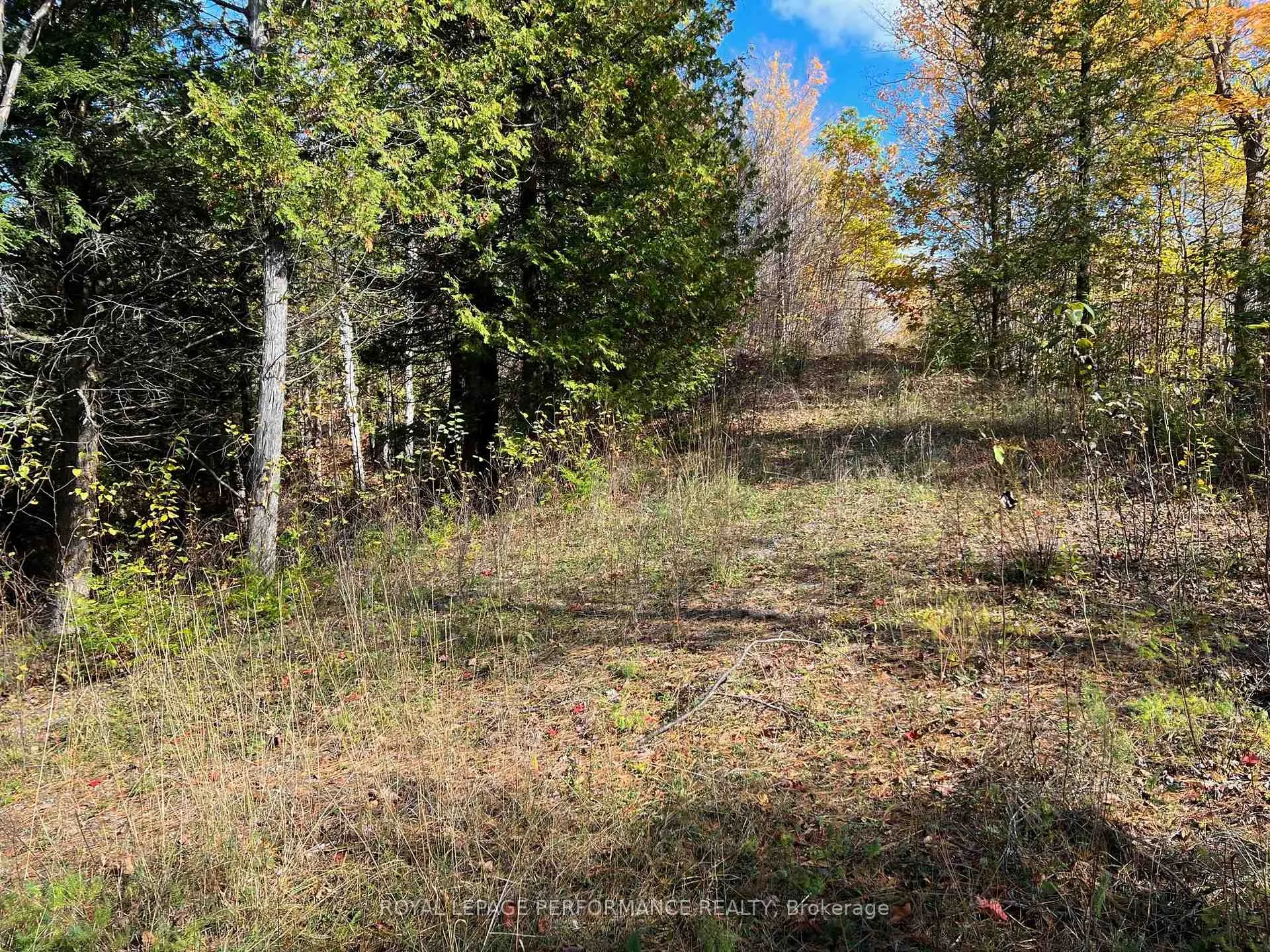 Photo 2 of 304 Lacourse Lane, Lanark Highlands, Lanark Highlands (Darling) Twp — HOMEH